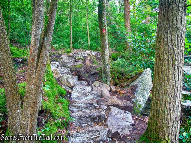 Stony Kill Falls Trail