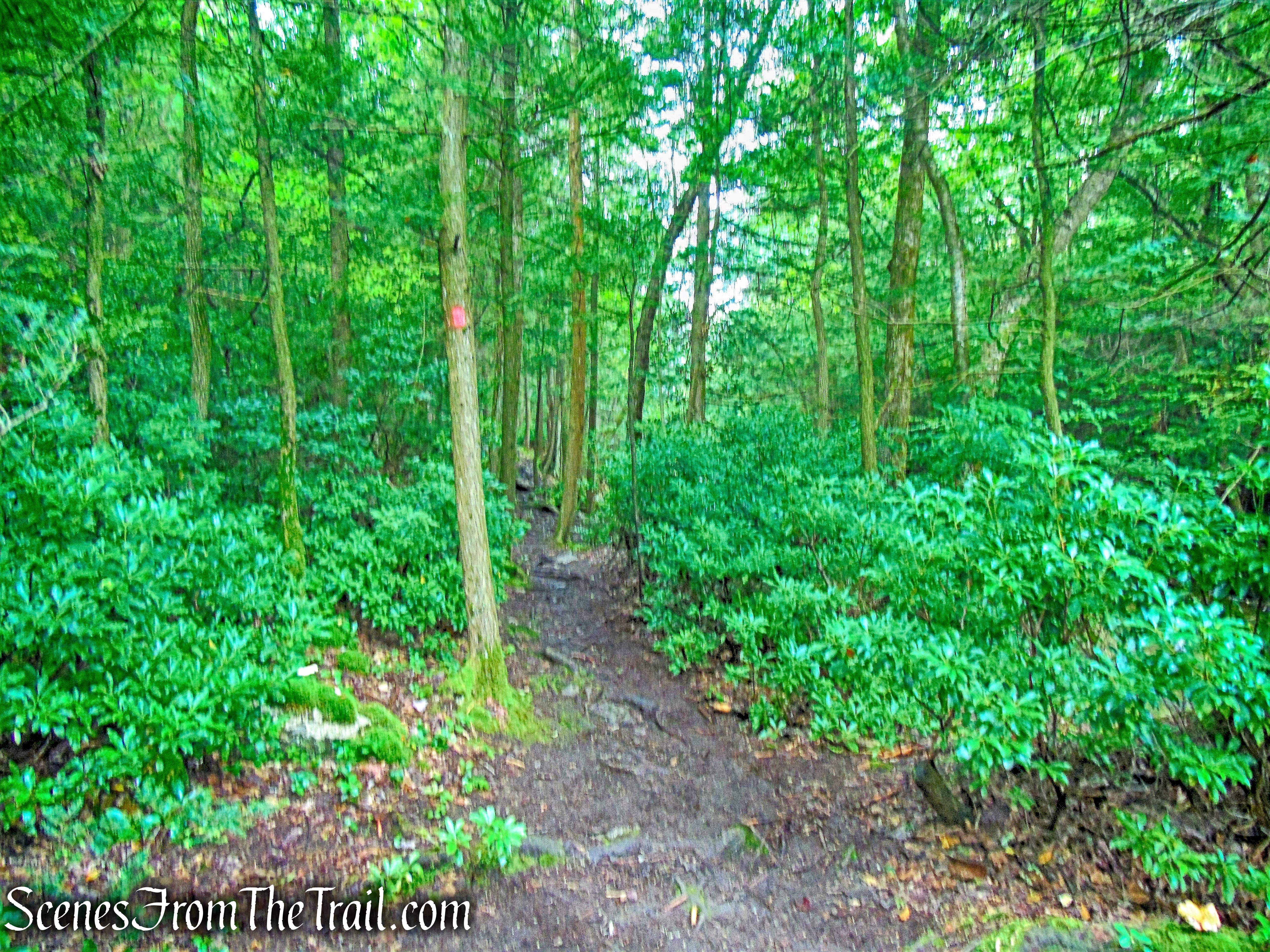 Stony Kill Falls Trail