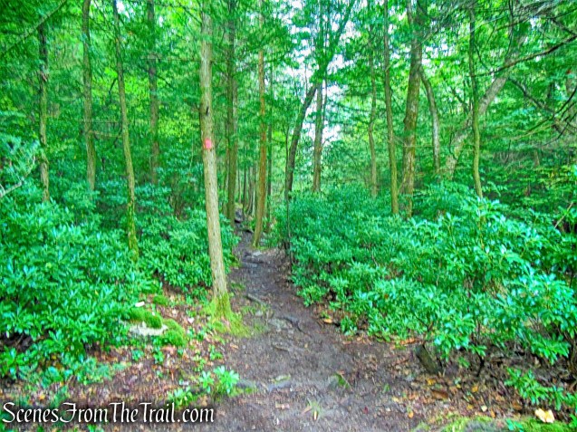 Stony Kill Falls Trail