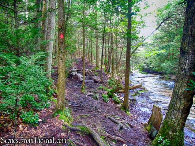 Stony Kill Falls Trail