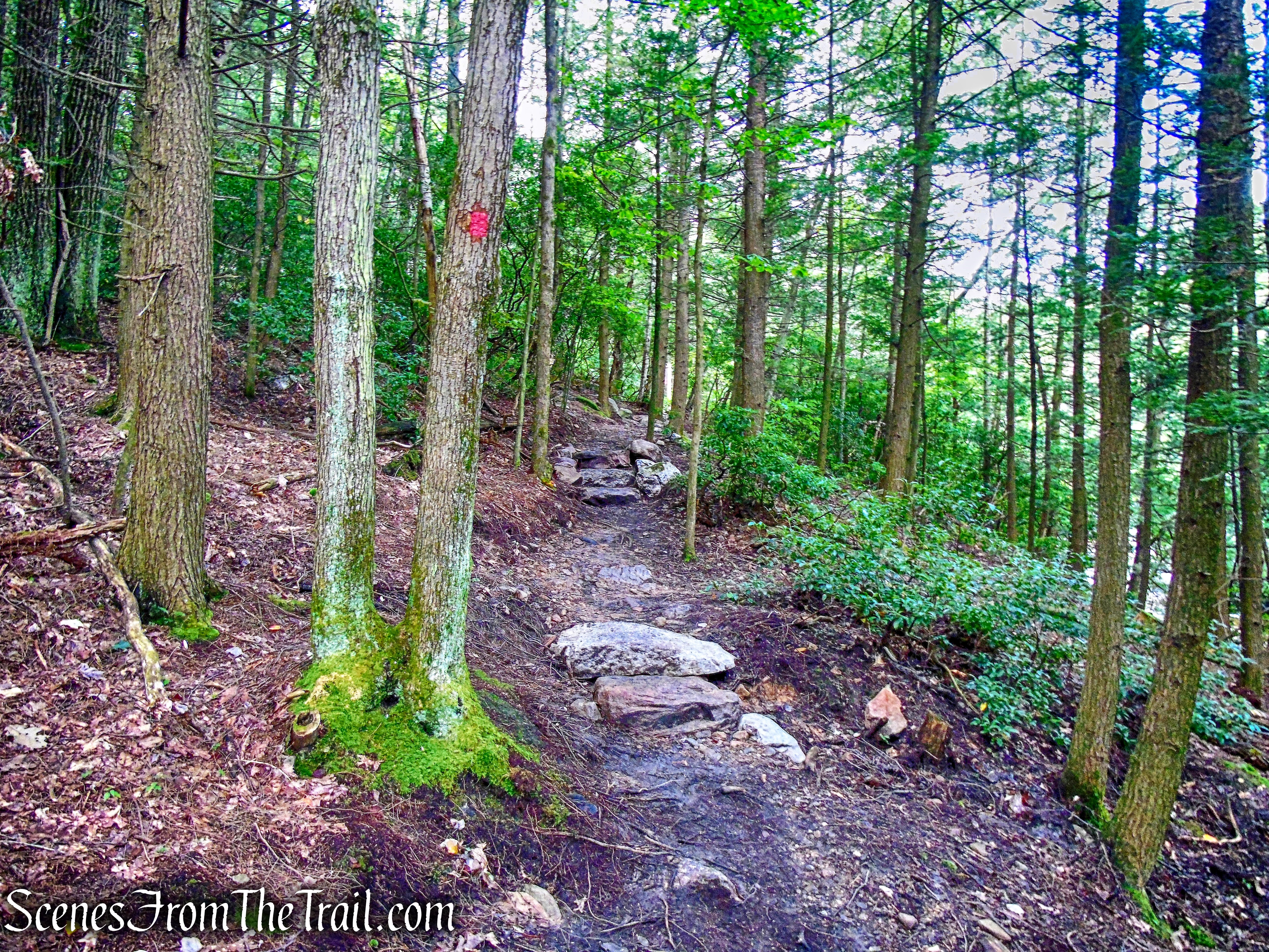 Stony Kill Falls Trail