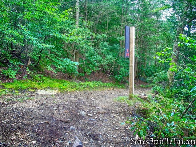 terminus of Stony Kill Falls Trail