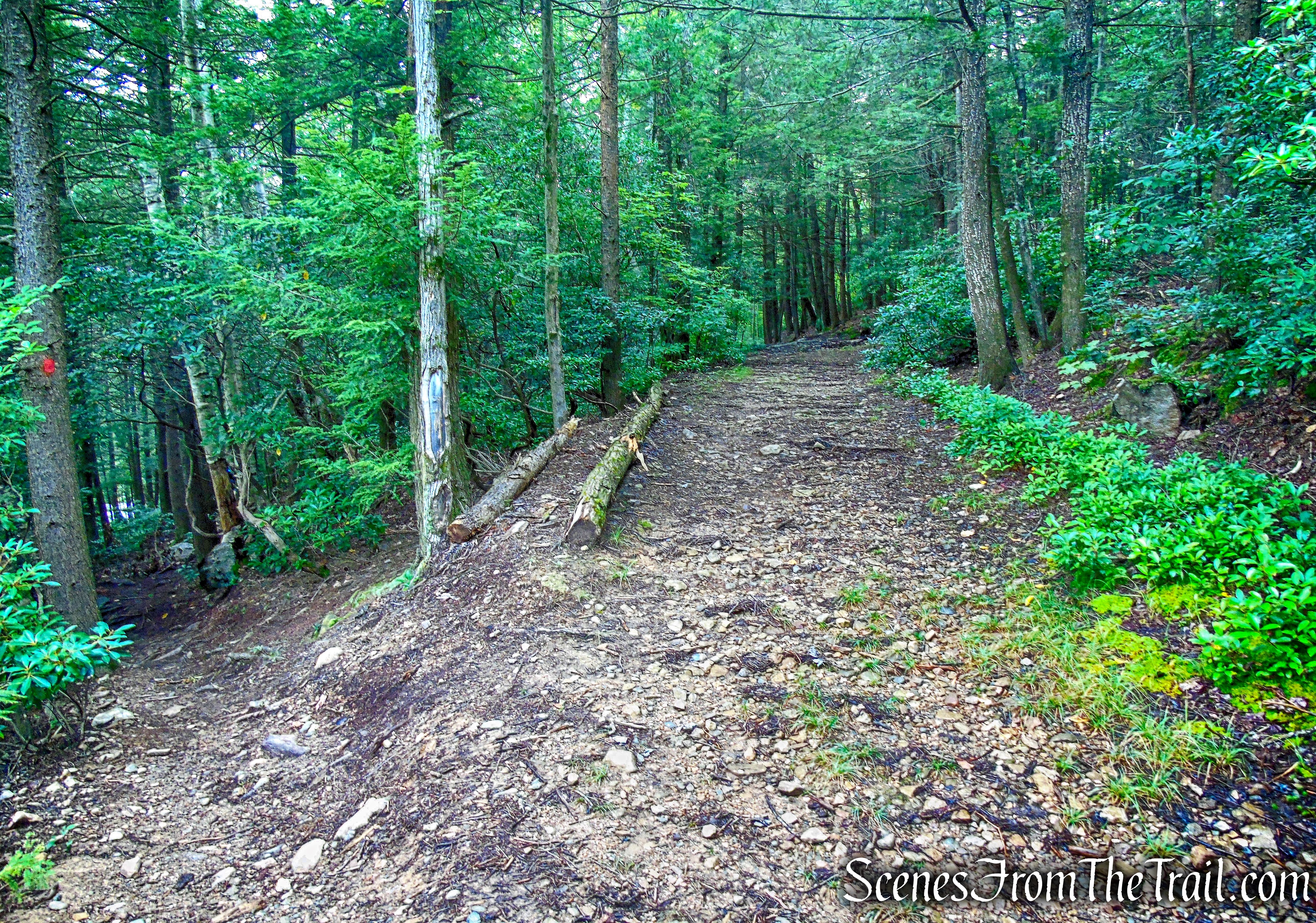 junction with Stony Kill Carriage Road
