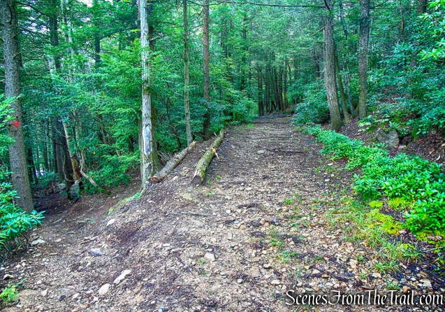 junction with Stony Kill Carriage Road