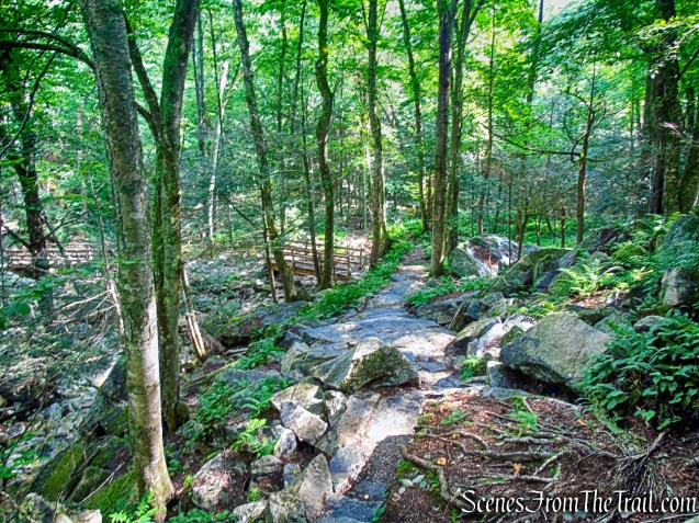 Stony Kill Falls Trail
