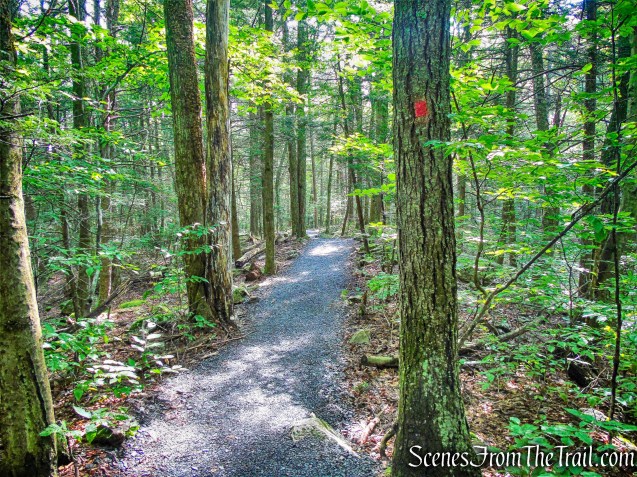Stony Kill Falls Trail