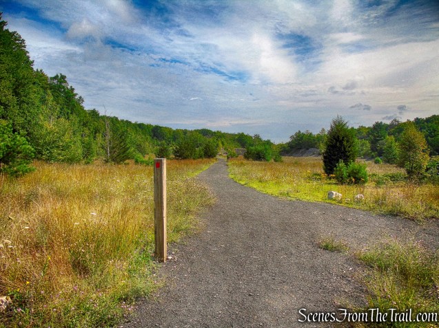 Stony Kill Falls Trail