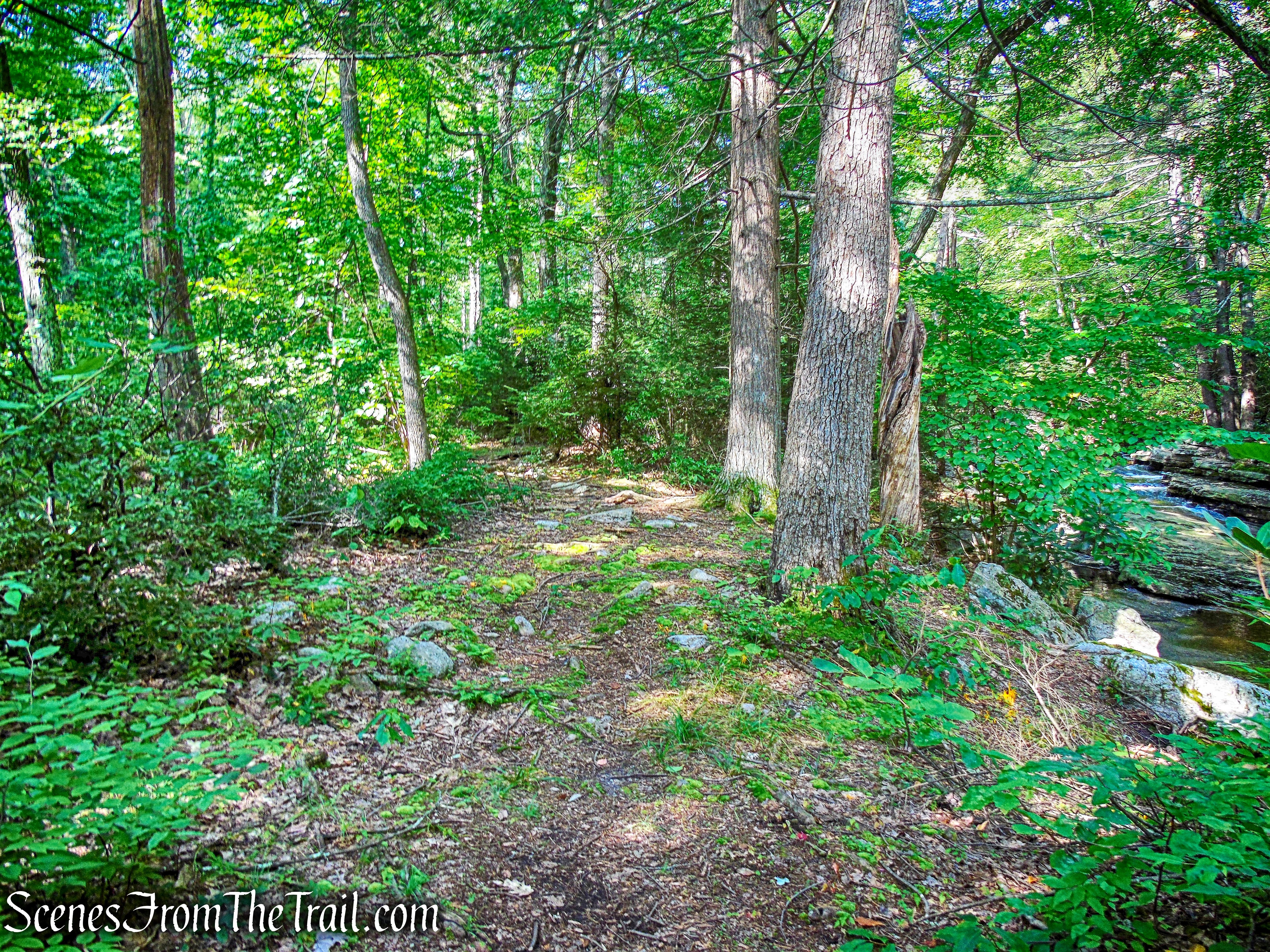 footpath along the Peter's Kill