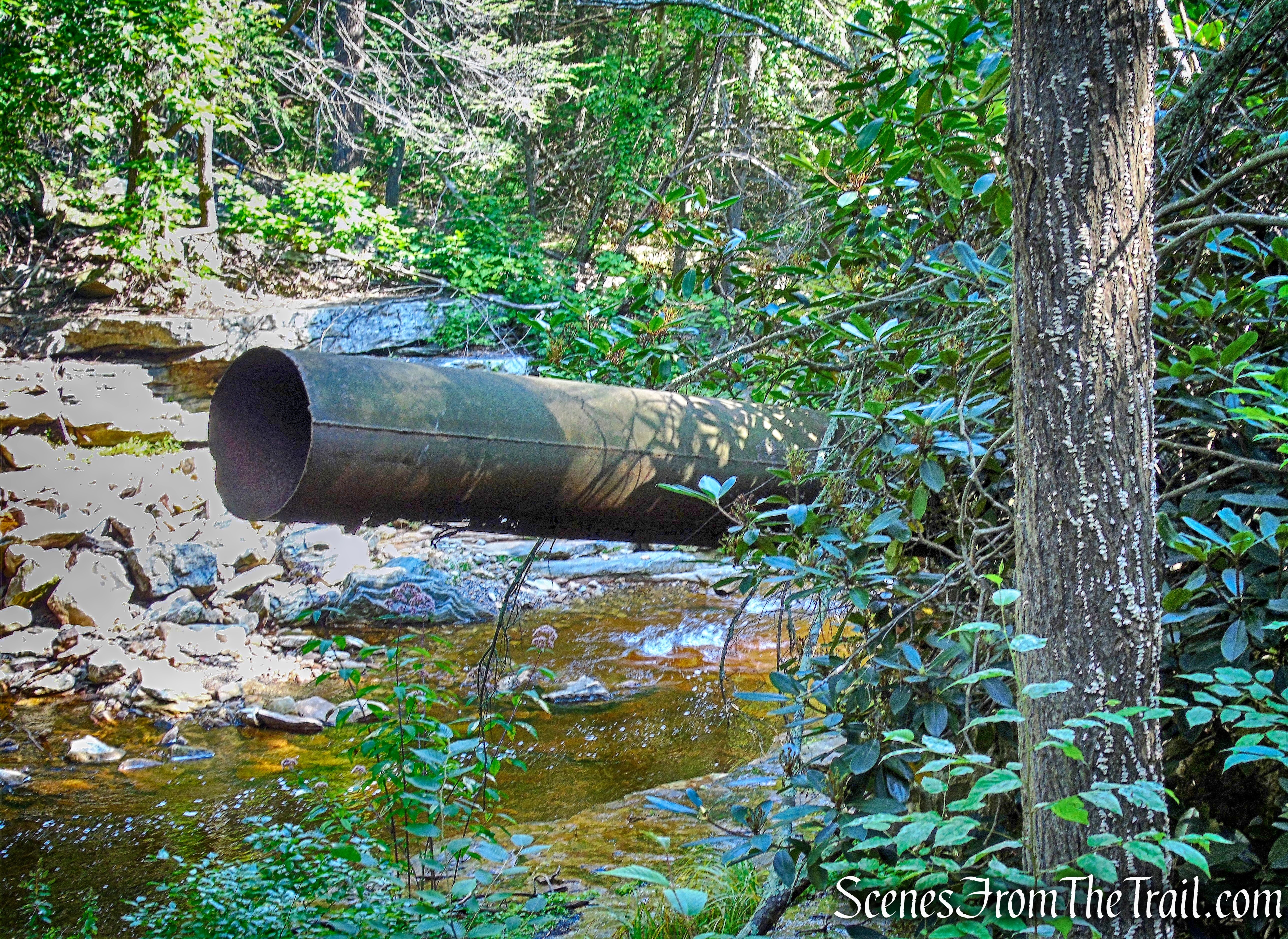 sluiceway pipe sticking out from Hydroelectric Power House ruins on the Peter's Kill