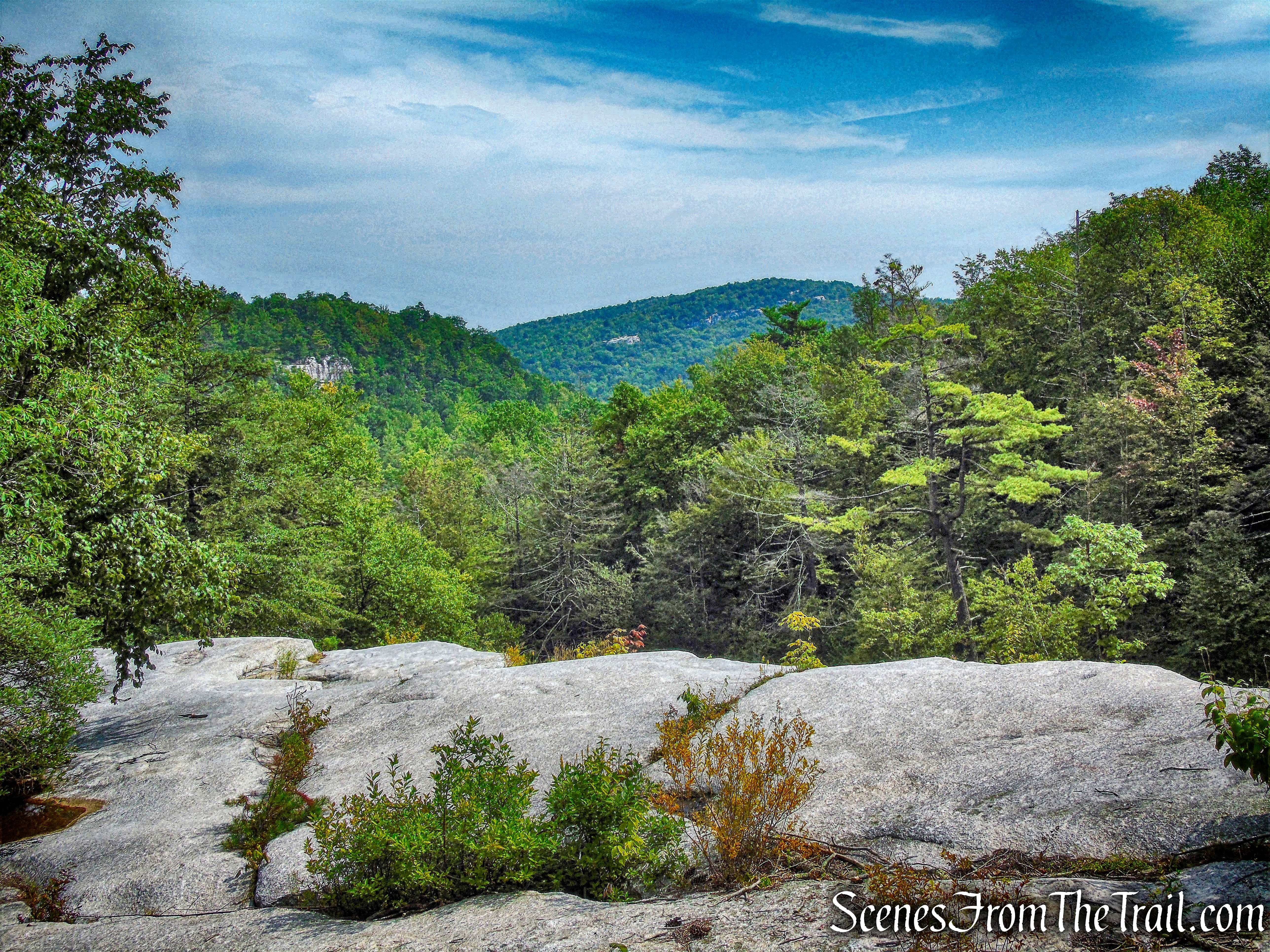 view north from Upper Peter’s Kill Falls