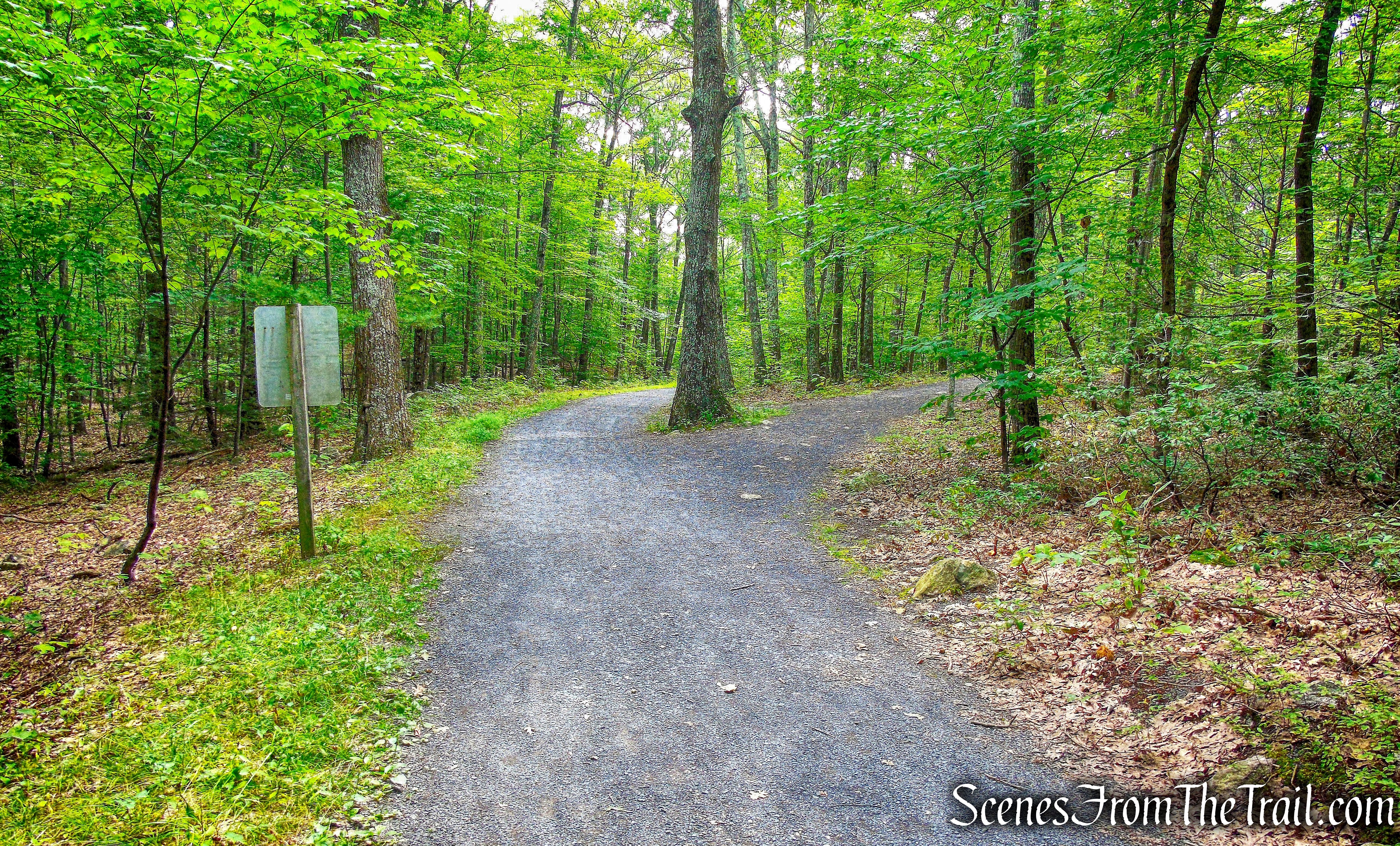 stay left on Awosting Falls Carriage Road