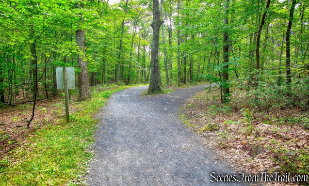 stay left on Awosting Falls Carriage Road