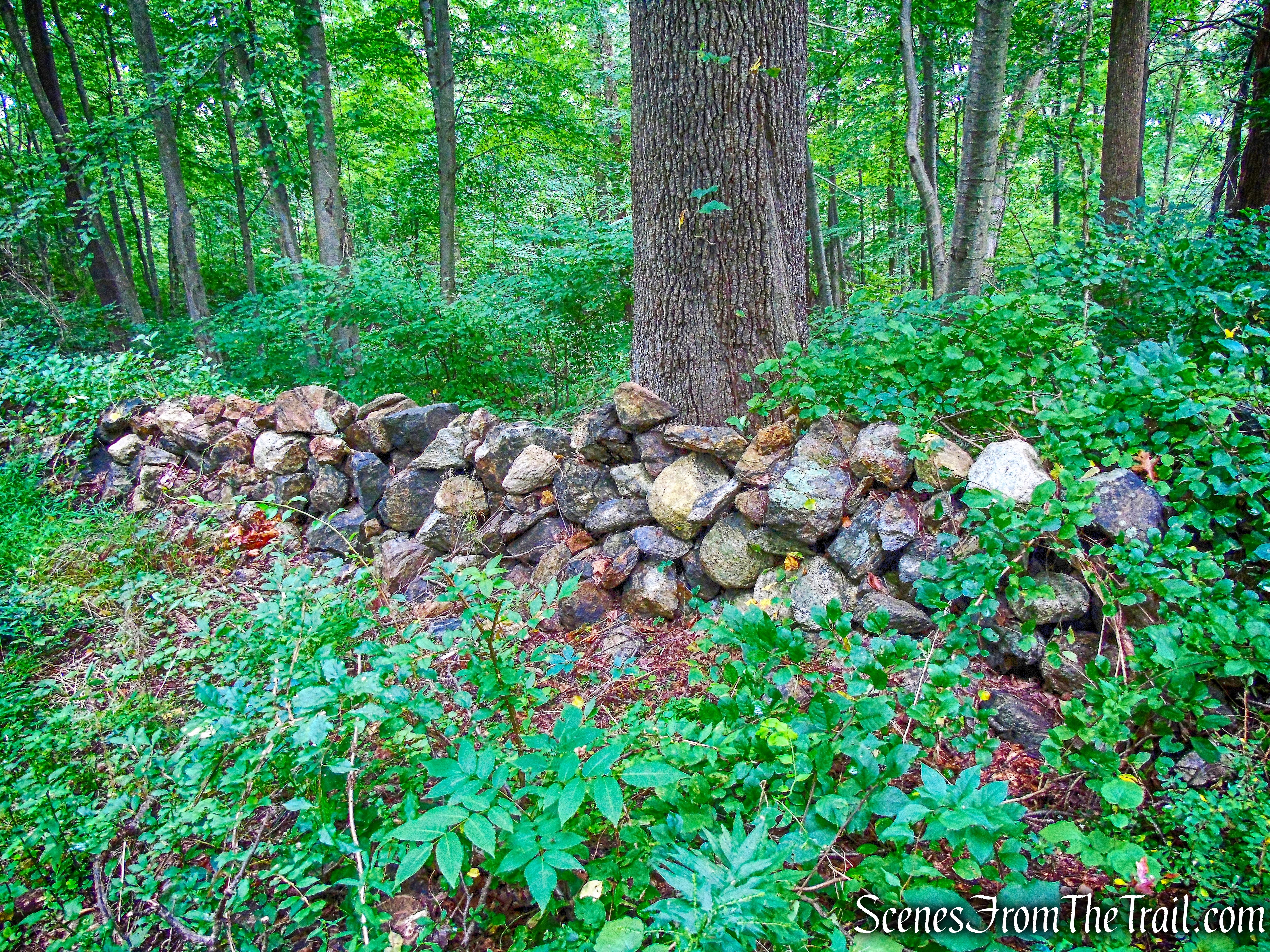 white-blazed Perimeter Trail