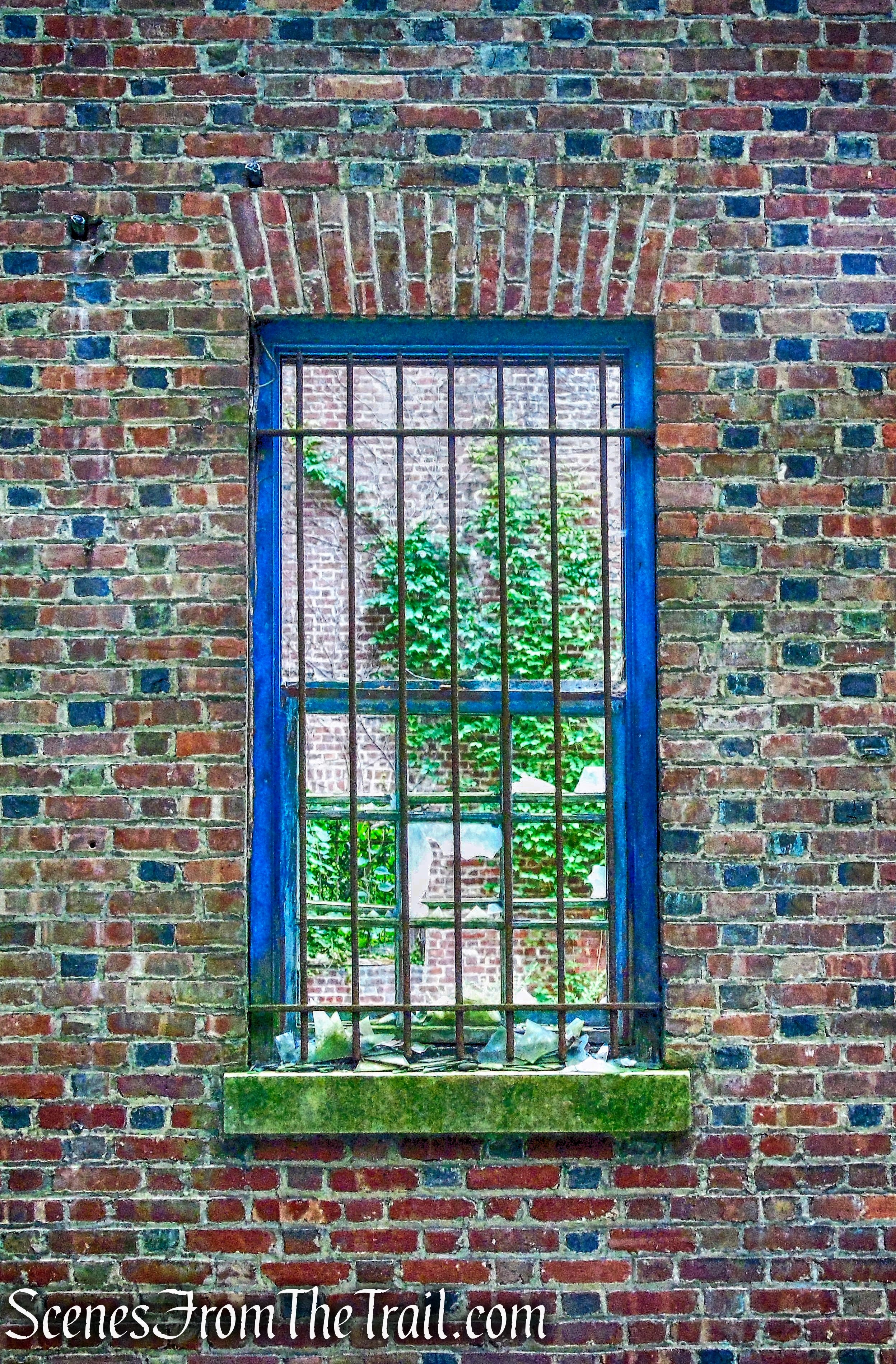 ruins - Mystery Point Road