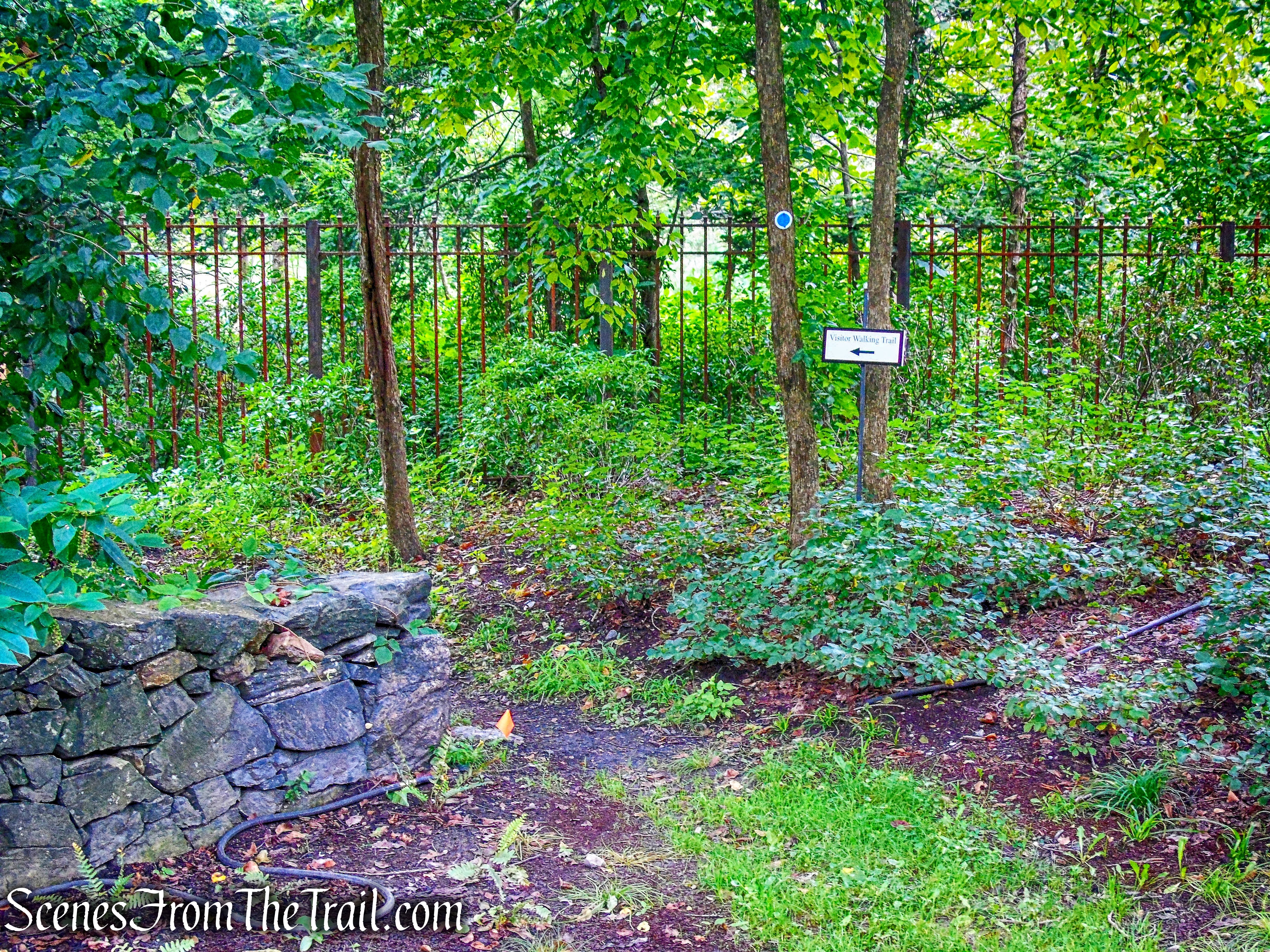 start of River Trail