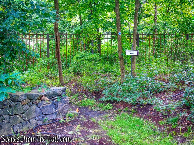 start of River Trail