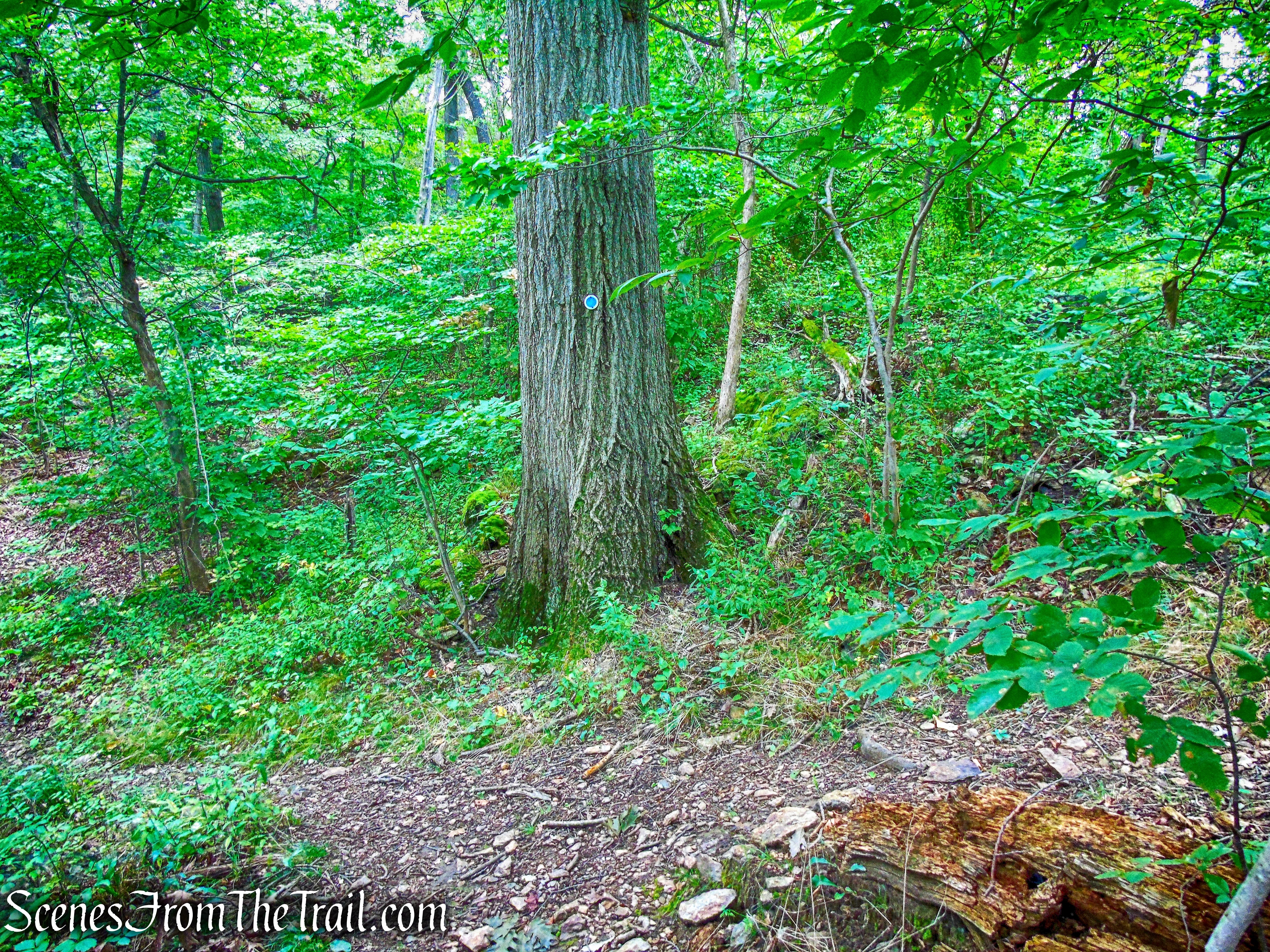 turn sharply right at trail junction