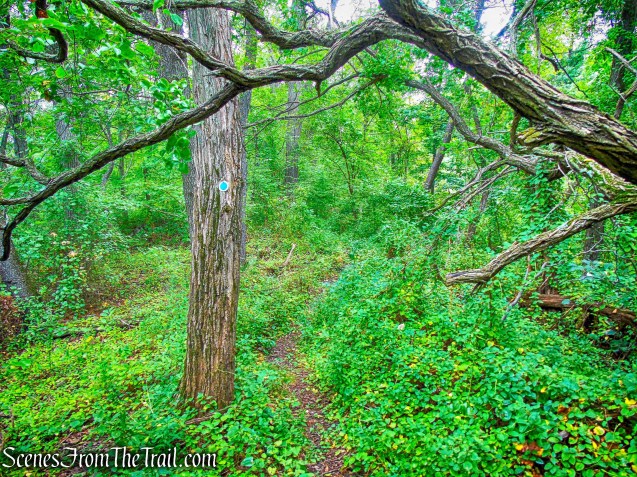 inland branch of the blue-blazed River Trail