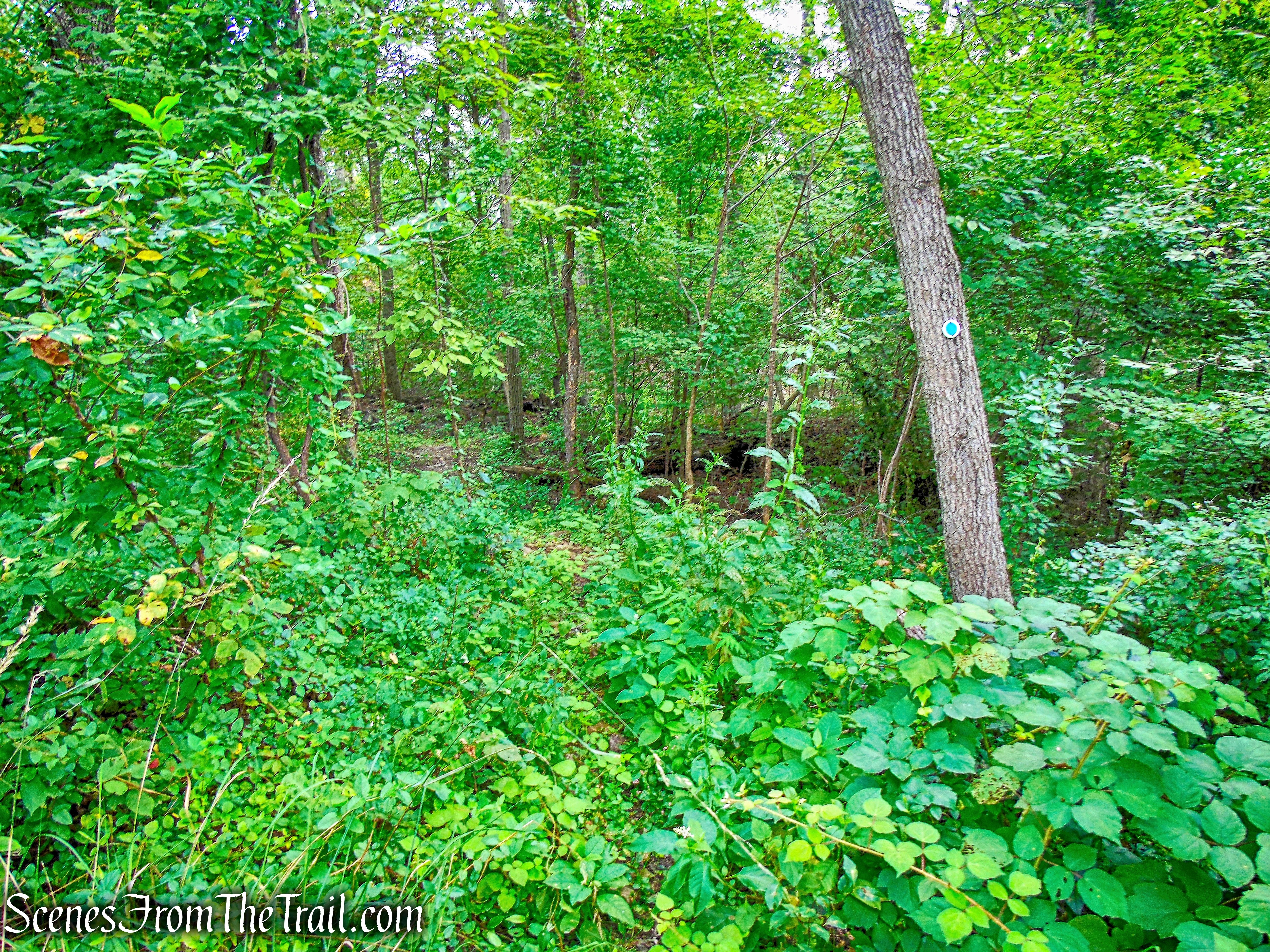 inland branch of the blue-blazed River Trail