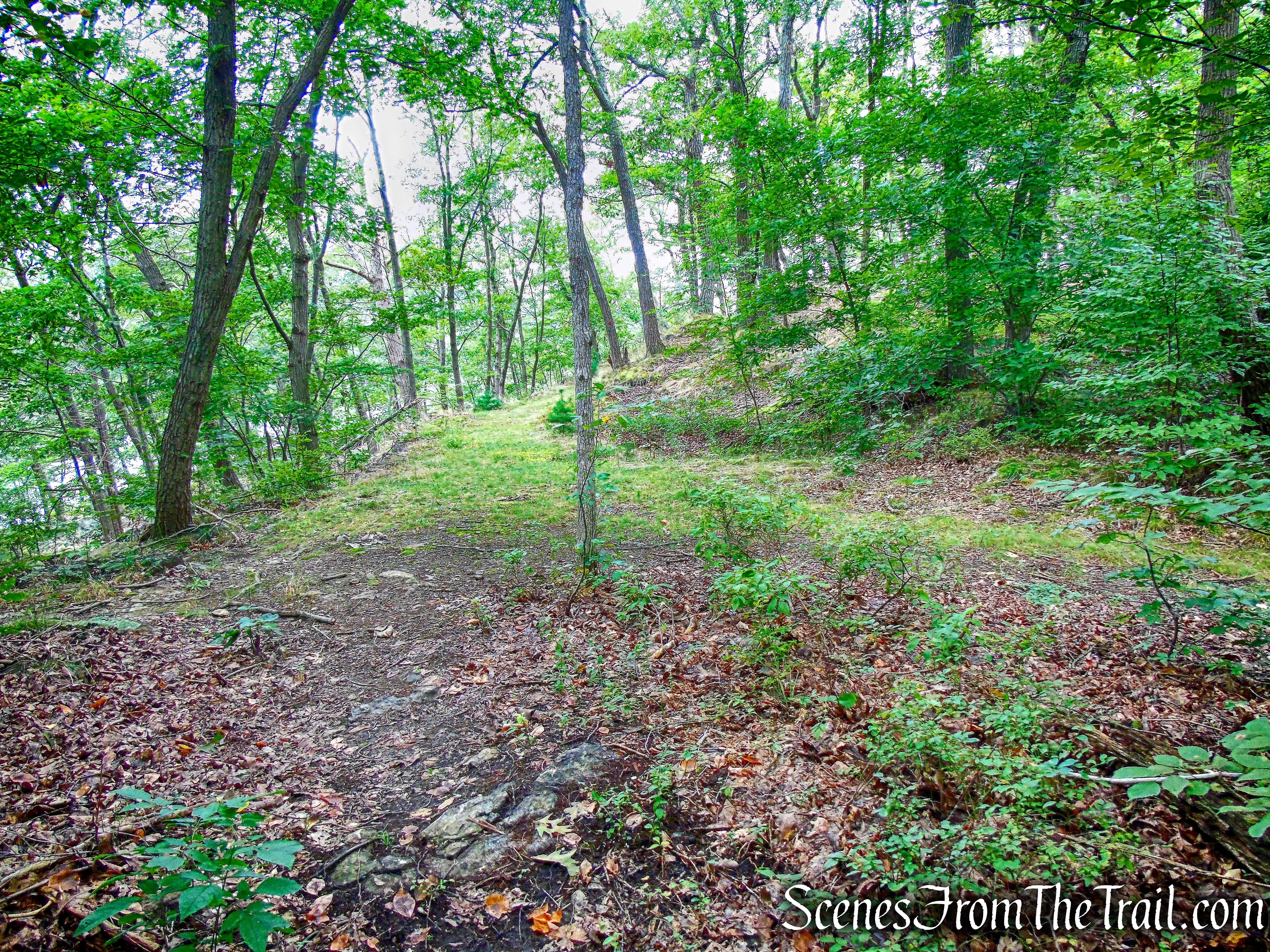 turn left onto the grassy road