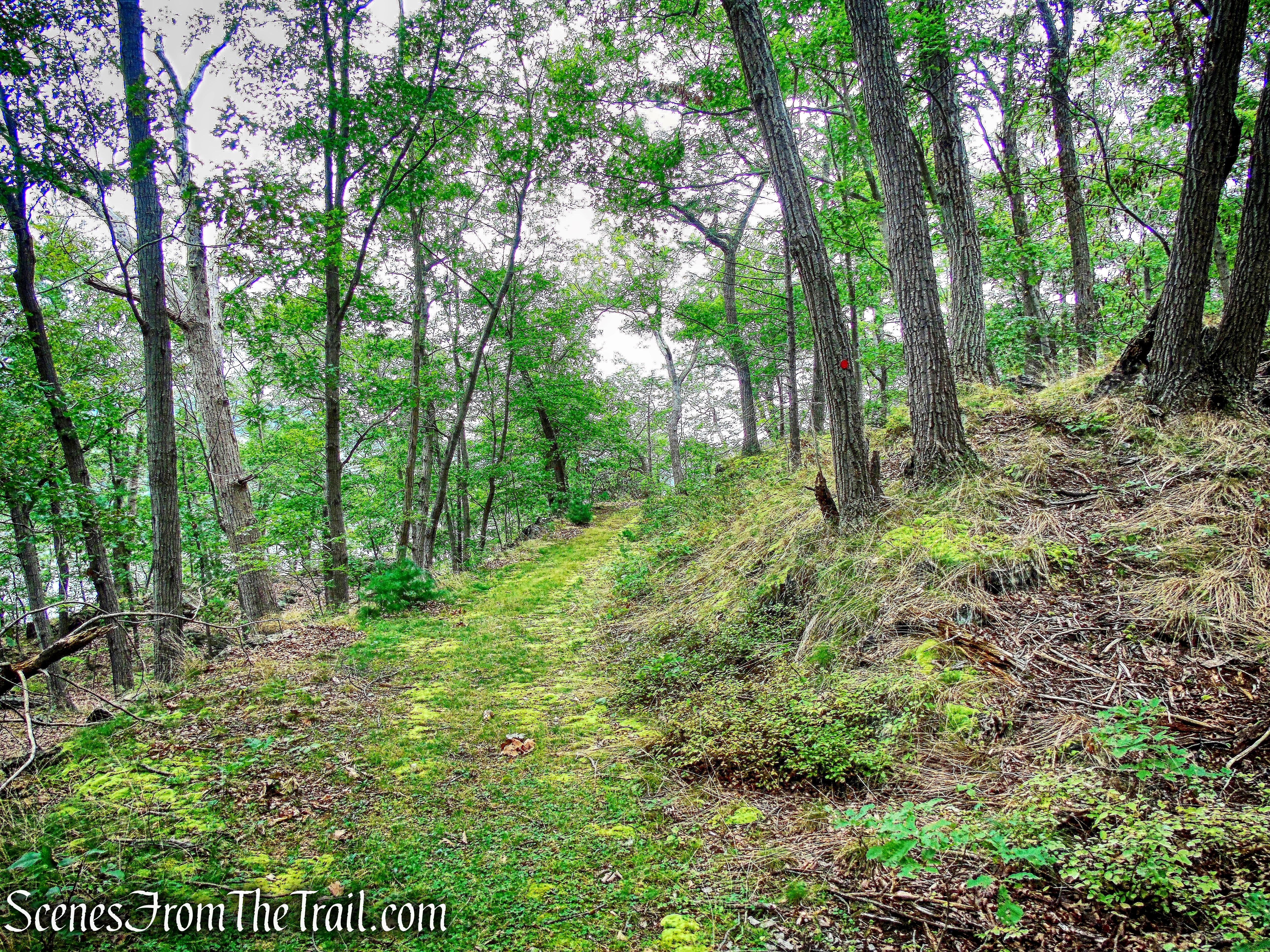 red-blazed Battlement Loop Trail