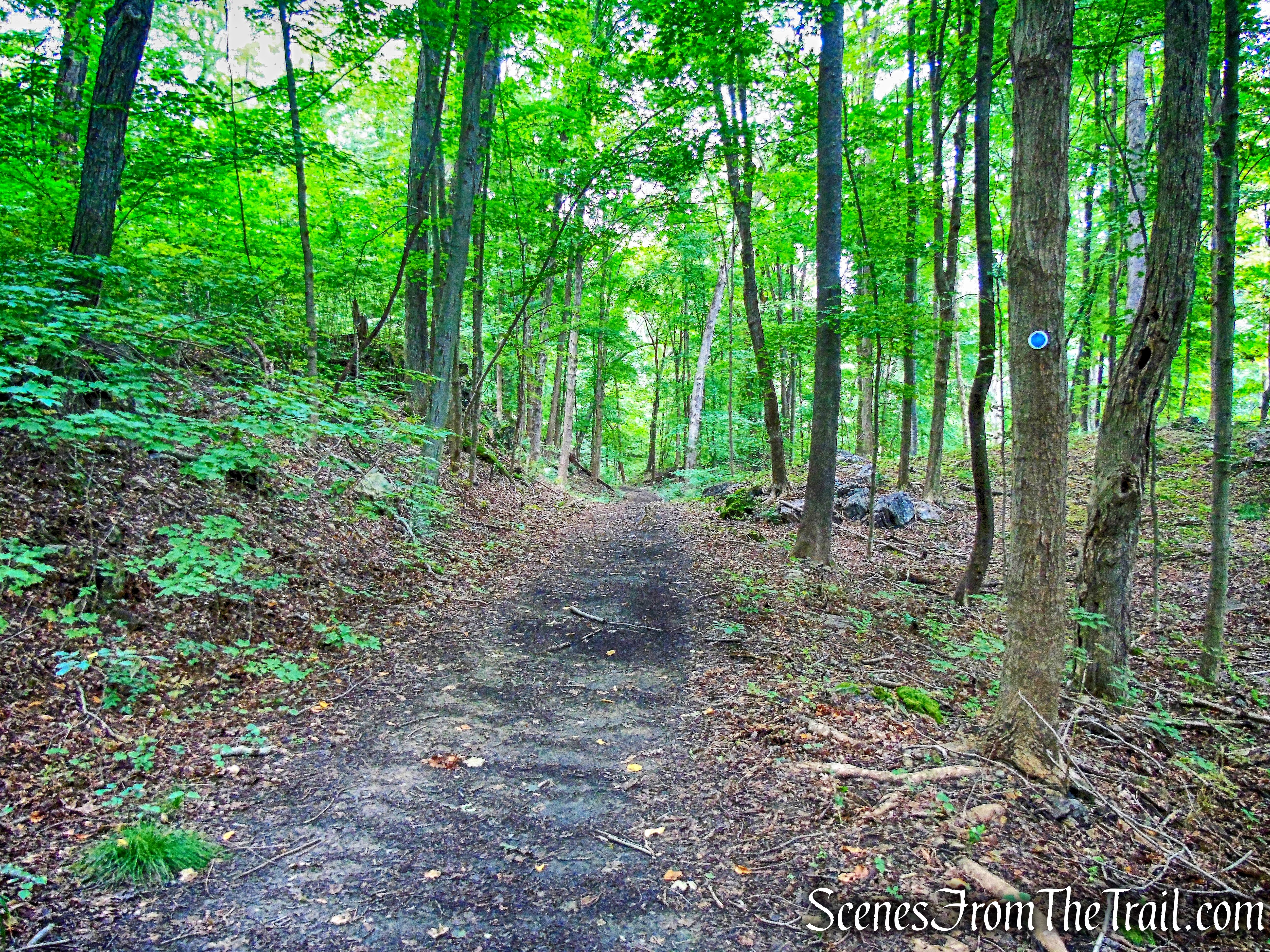 blue-blazed River Trail