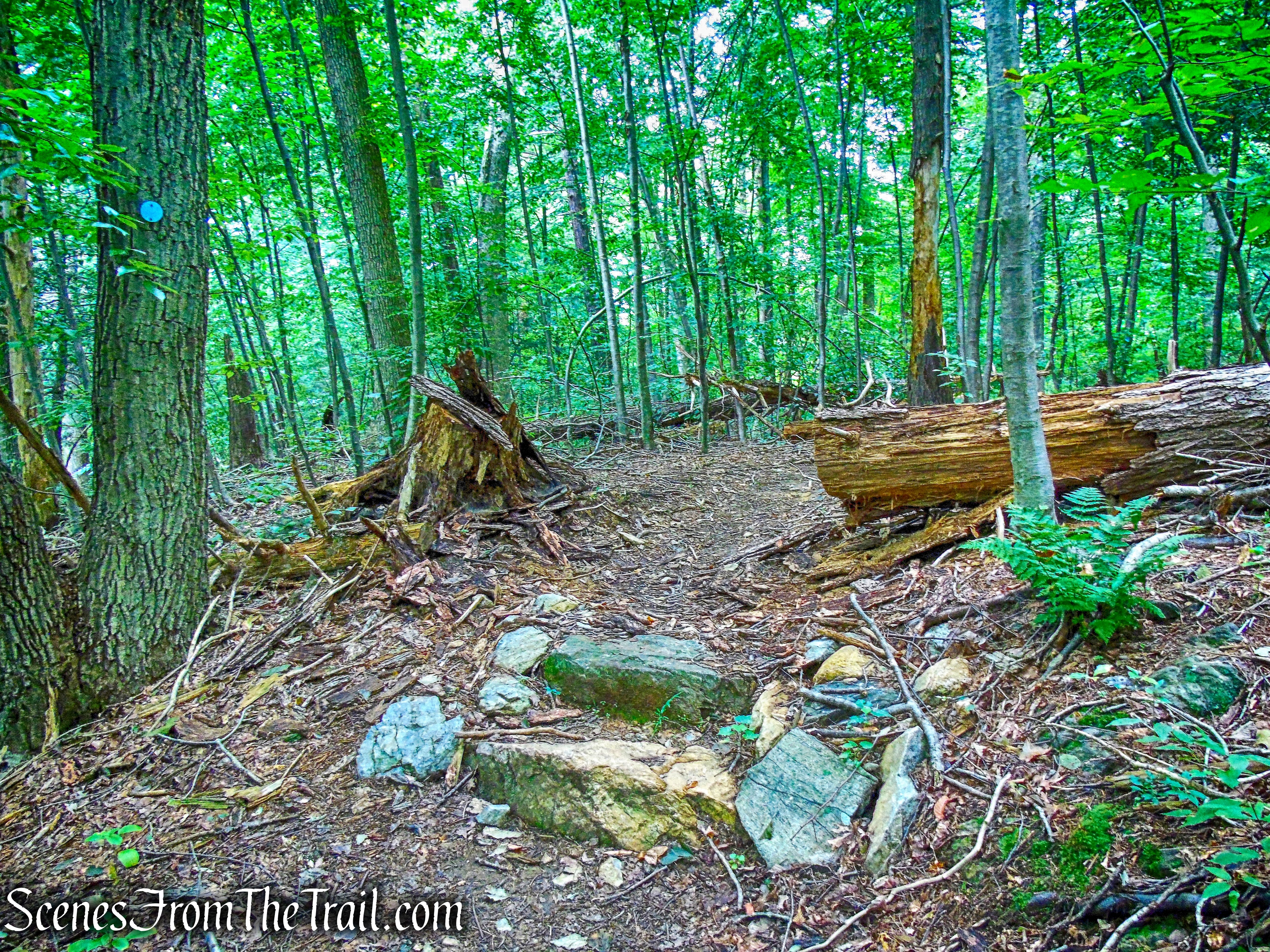 turn left onto the blue-blazed Connector Trail