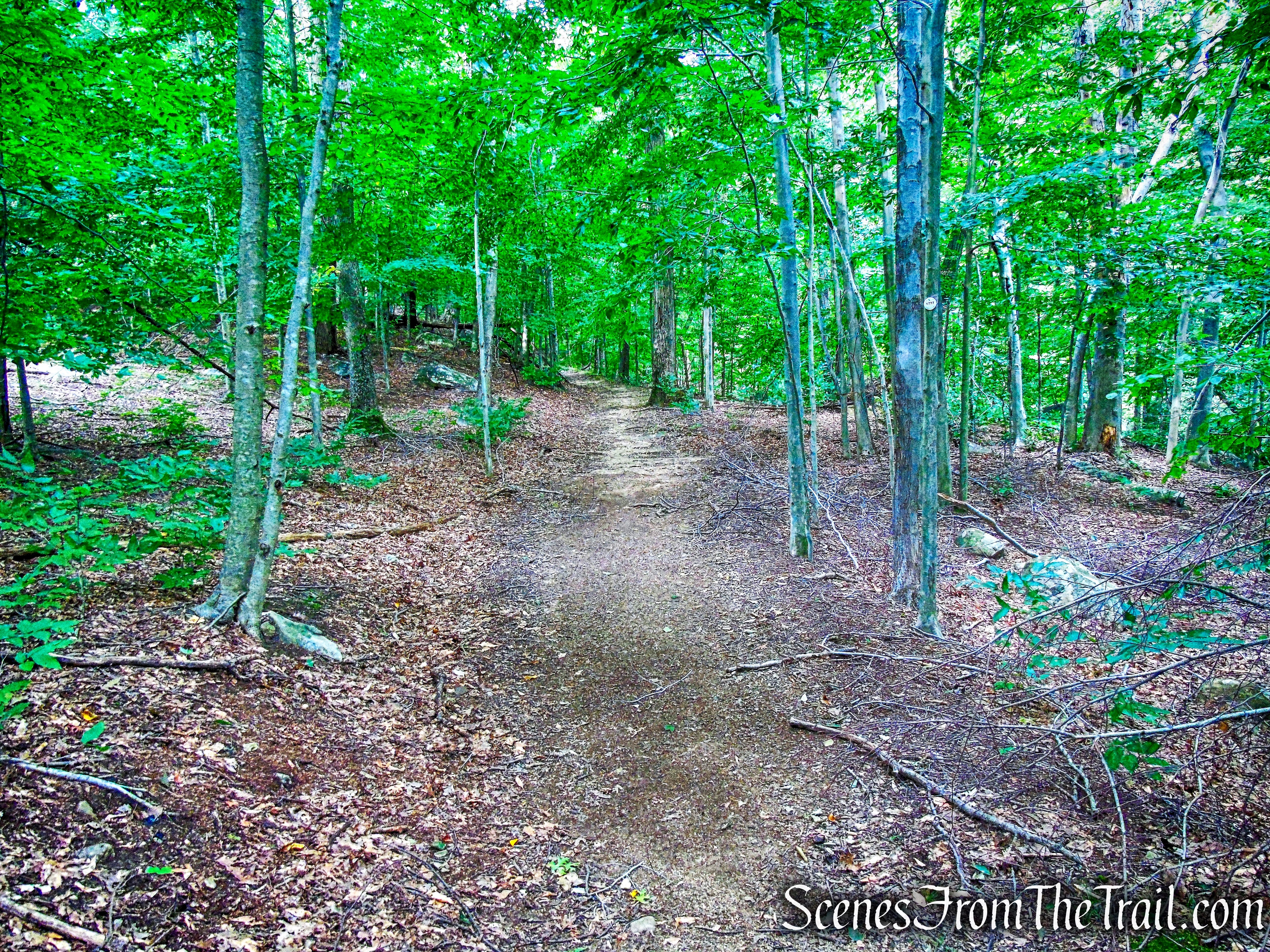 1777 Trail