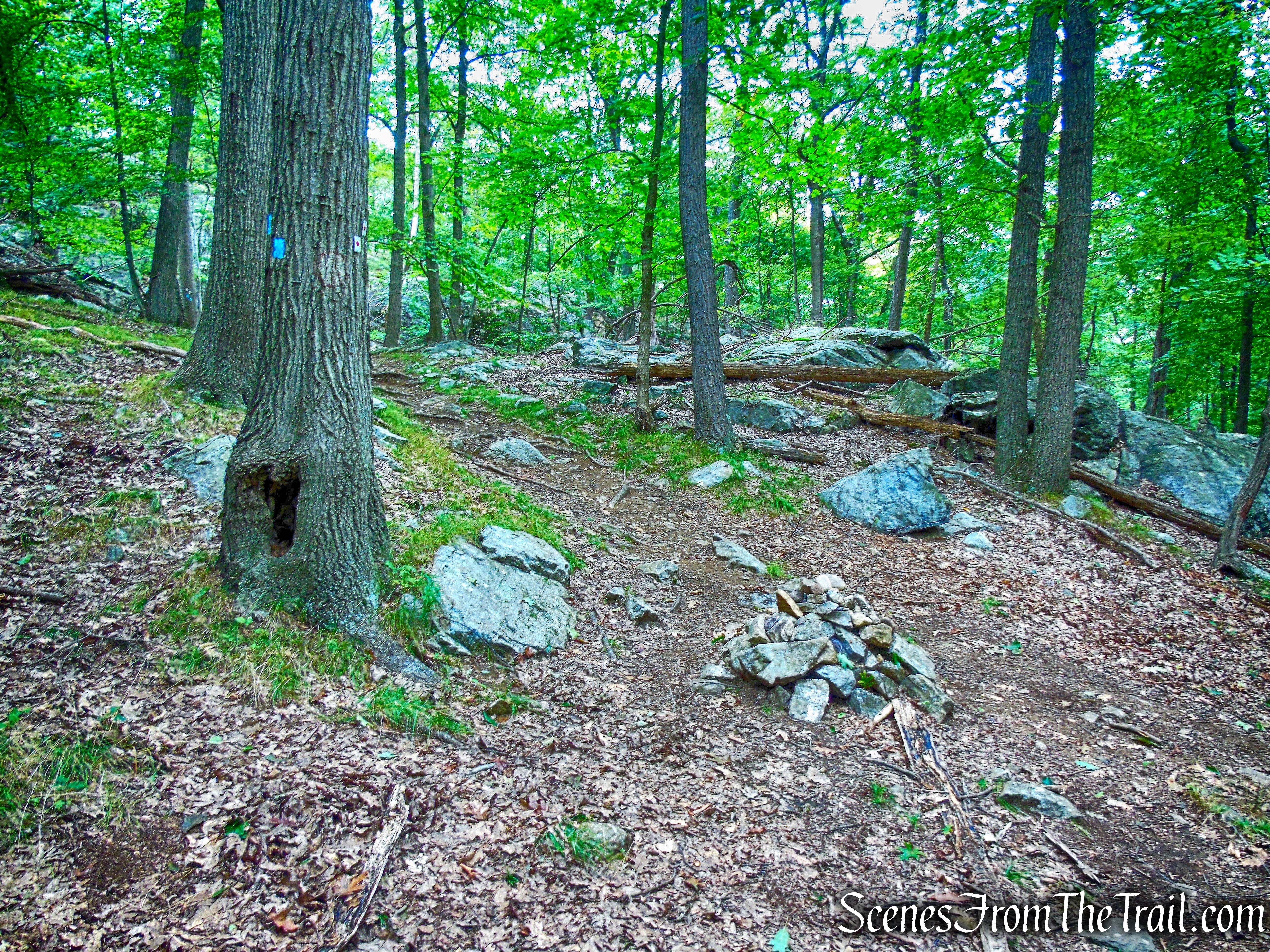 junction with Ramapo-Dunderberg Trail