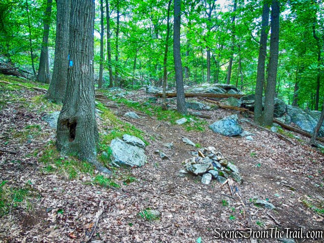 junction with Ramapo-Dunderberg Trail