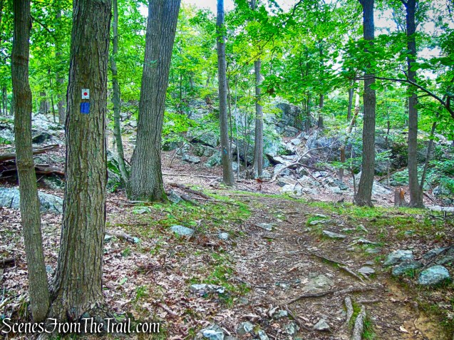 joint T-T/R-D Trails