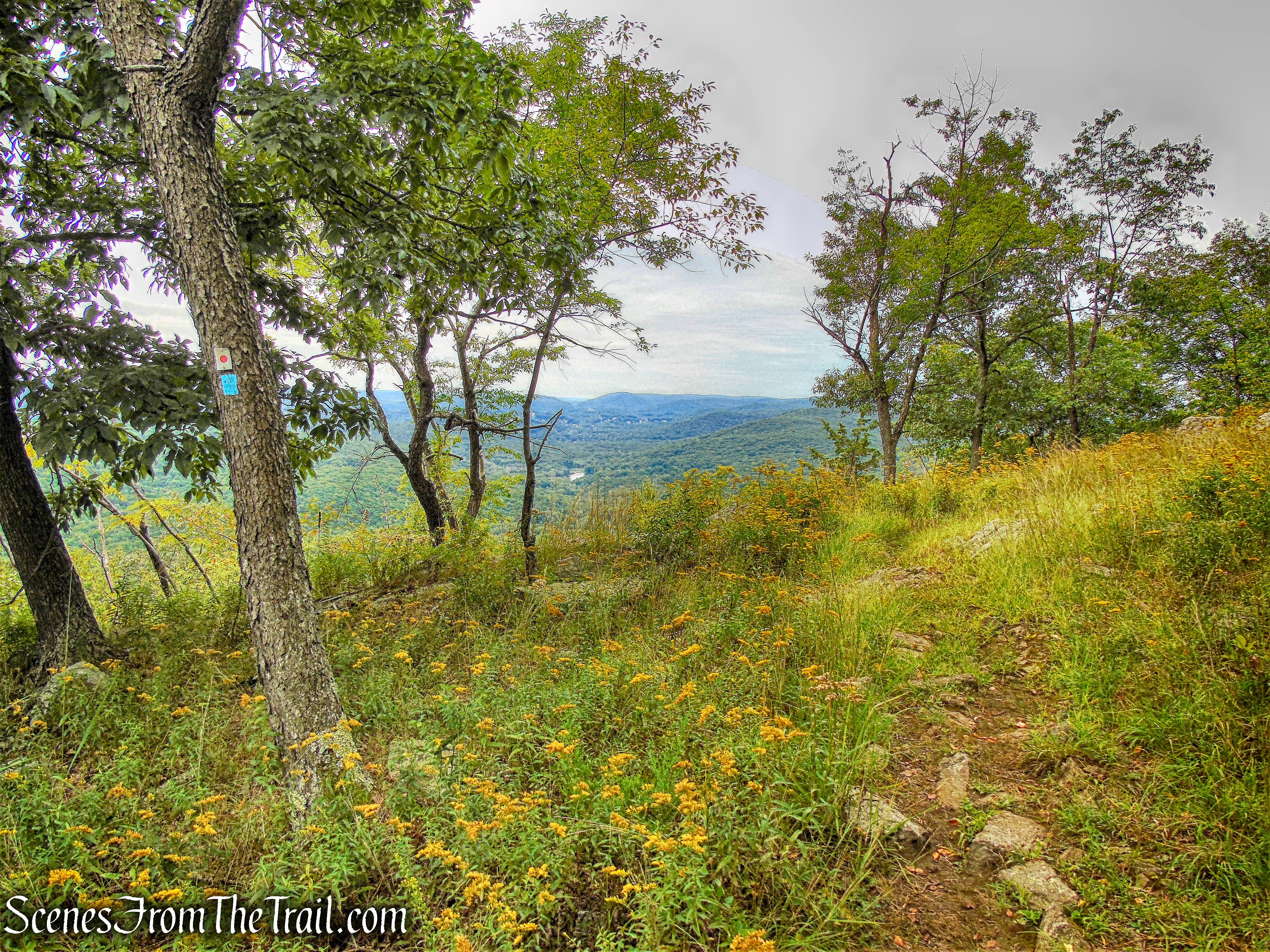 joint T-T/R-D Trails