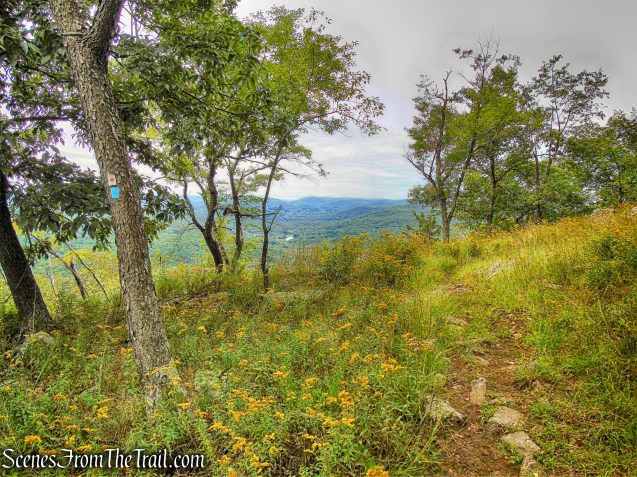 joint T-T/R-D Trails