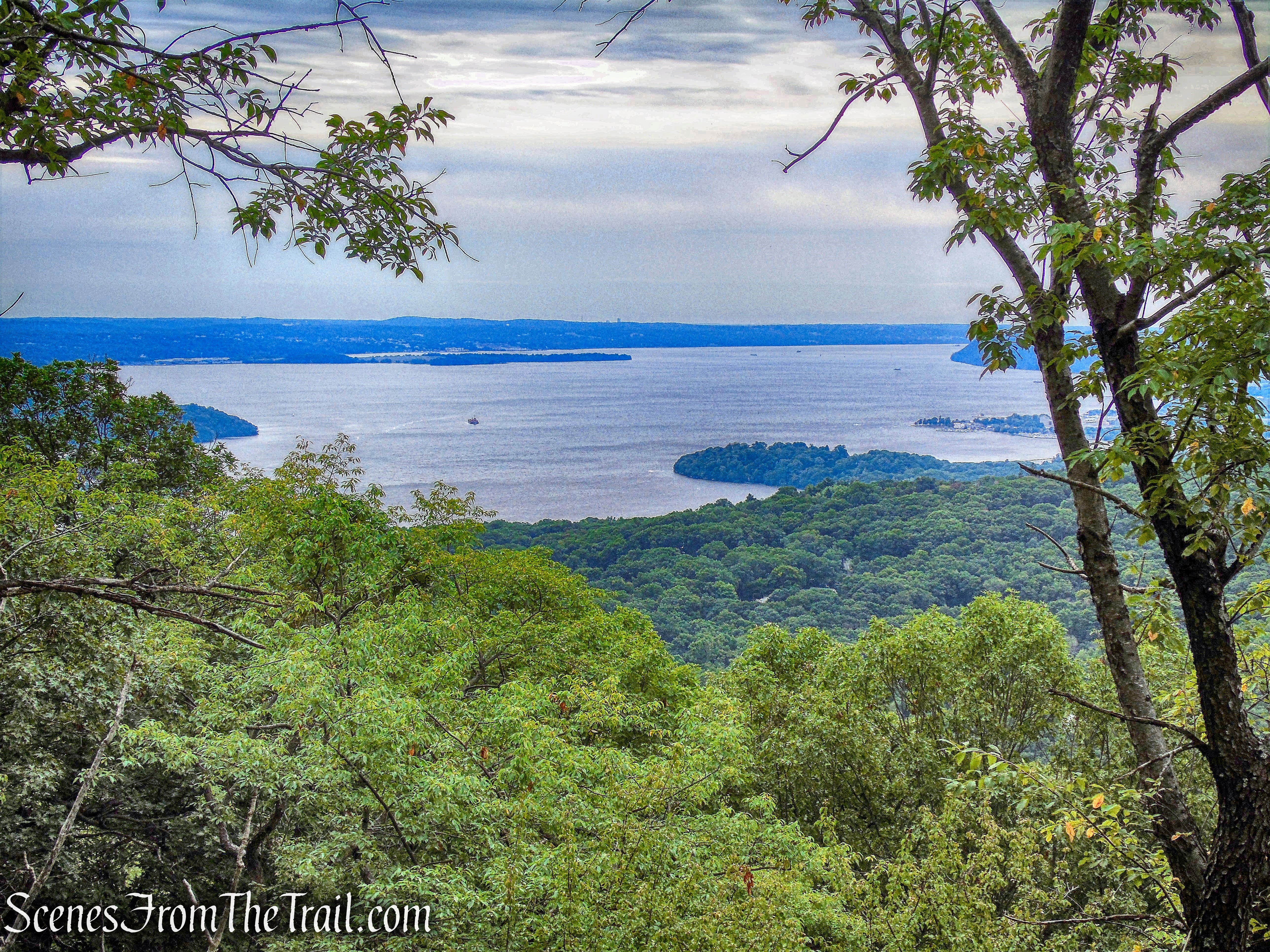 view south from joint T-T/R-D Trails