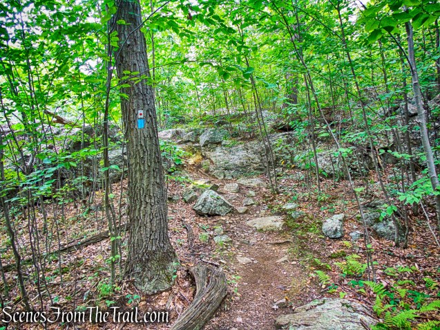 joint T-T/R-D Trails