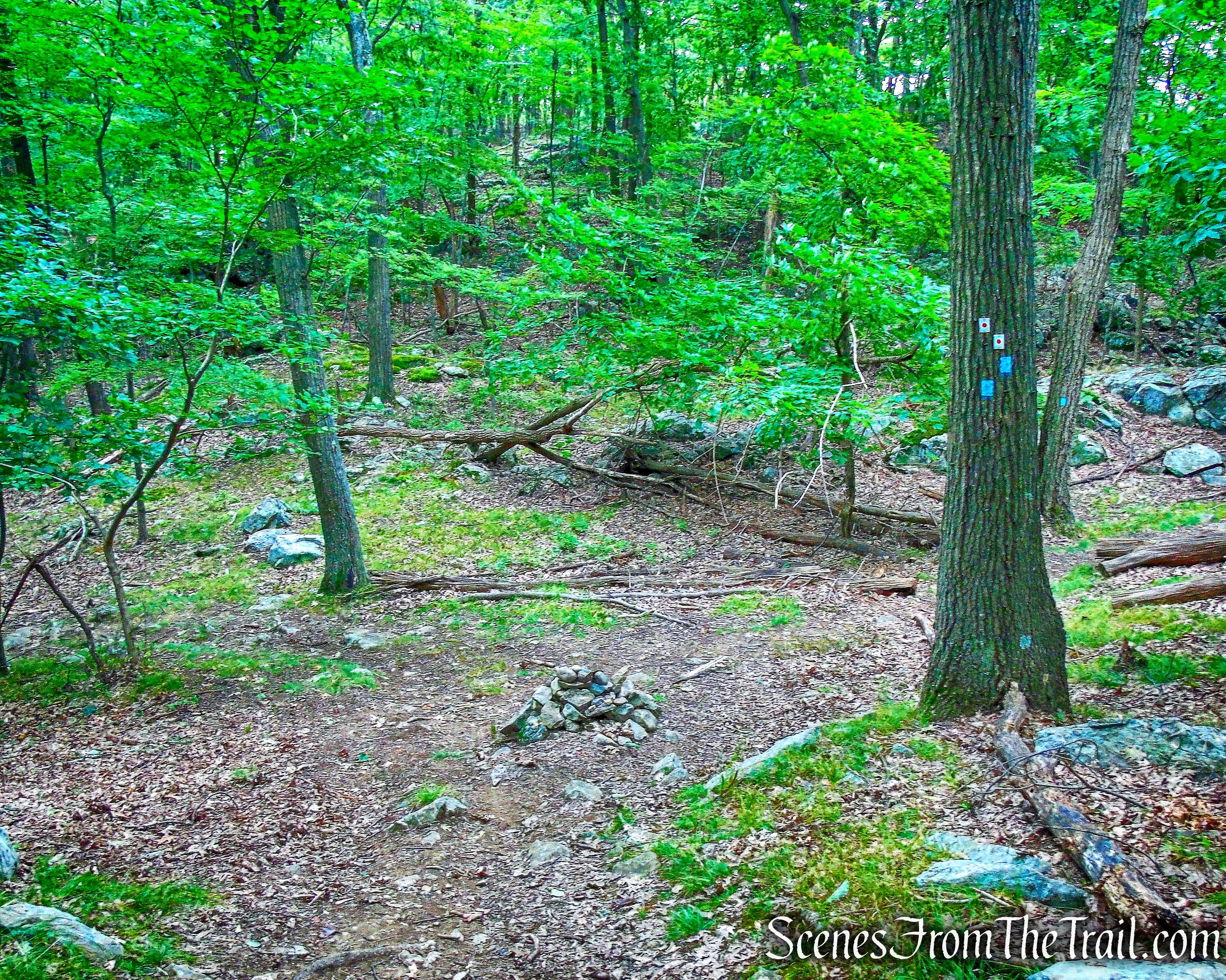 junction with Ramapo-Dunderberg Trail