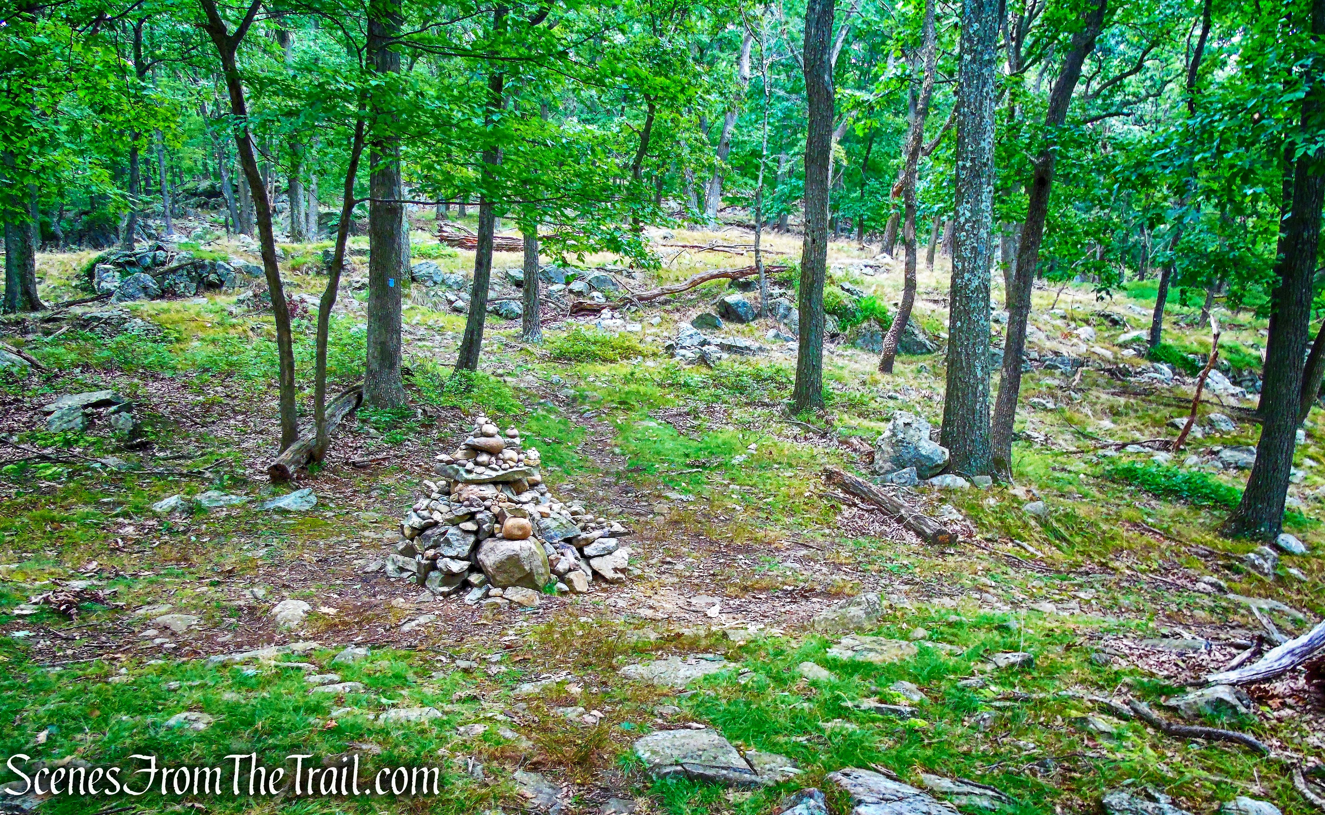 junction with the 1777 Trail