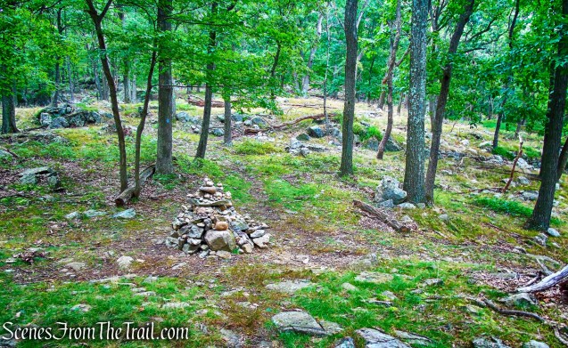 junction with the 1777 Trail