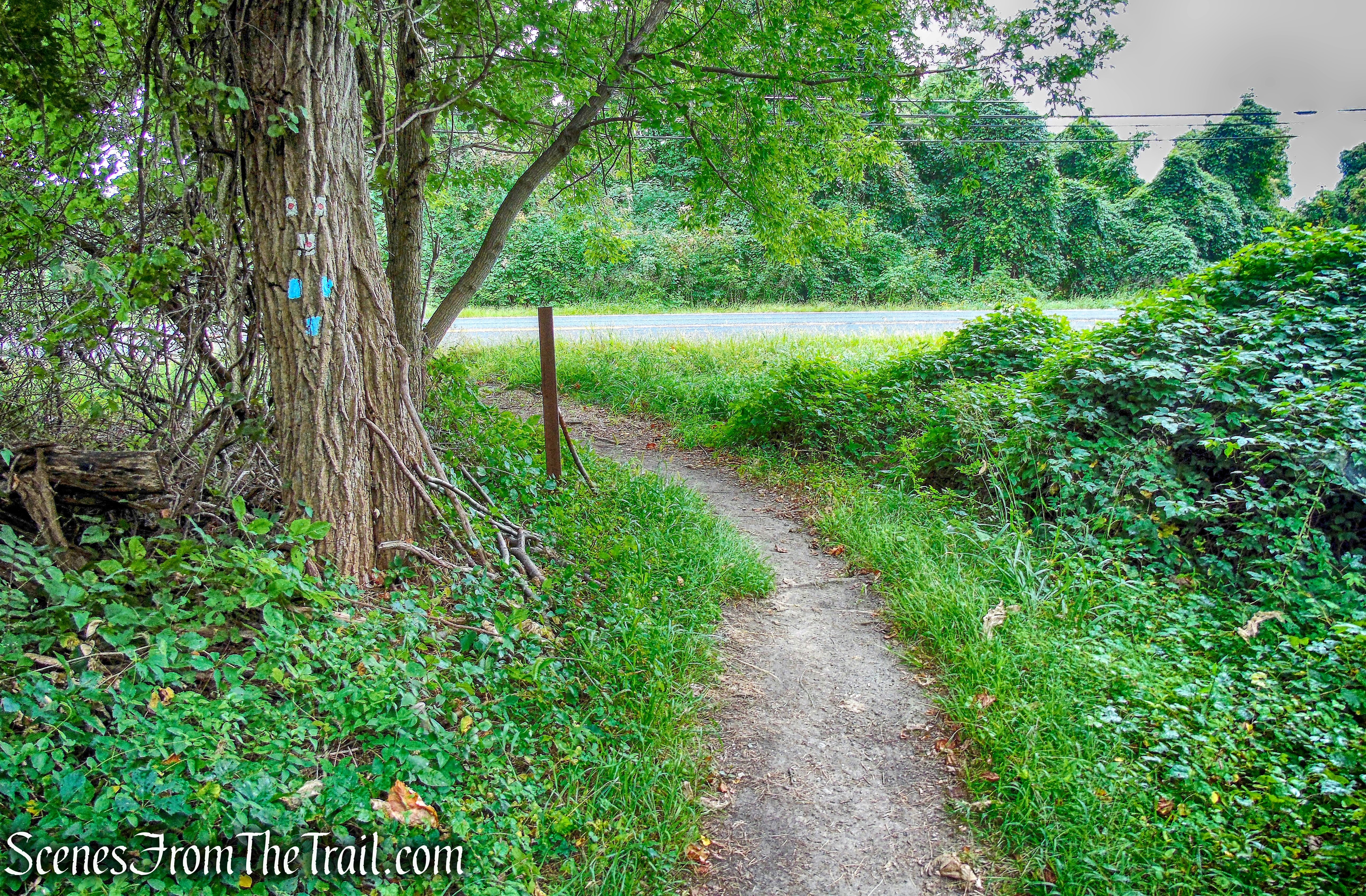 terminus of joint T-T/R-D Trails