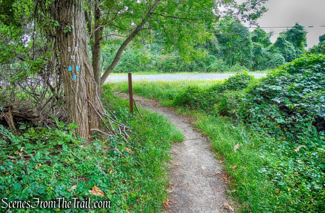 terminus of joint T-T/R-D Trails