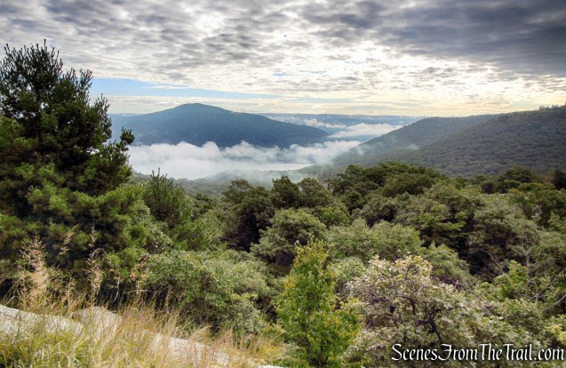 view from Butter Hill
