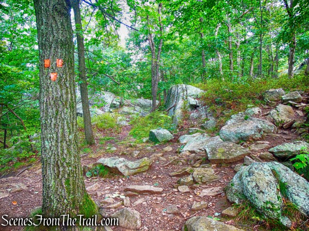 terminus of Butter Hill Trail