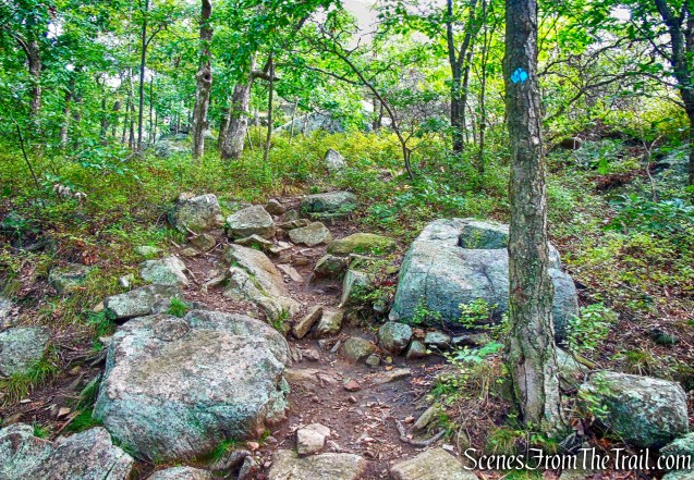 co-aligned Stillman/Highlands Trail
