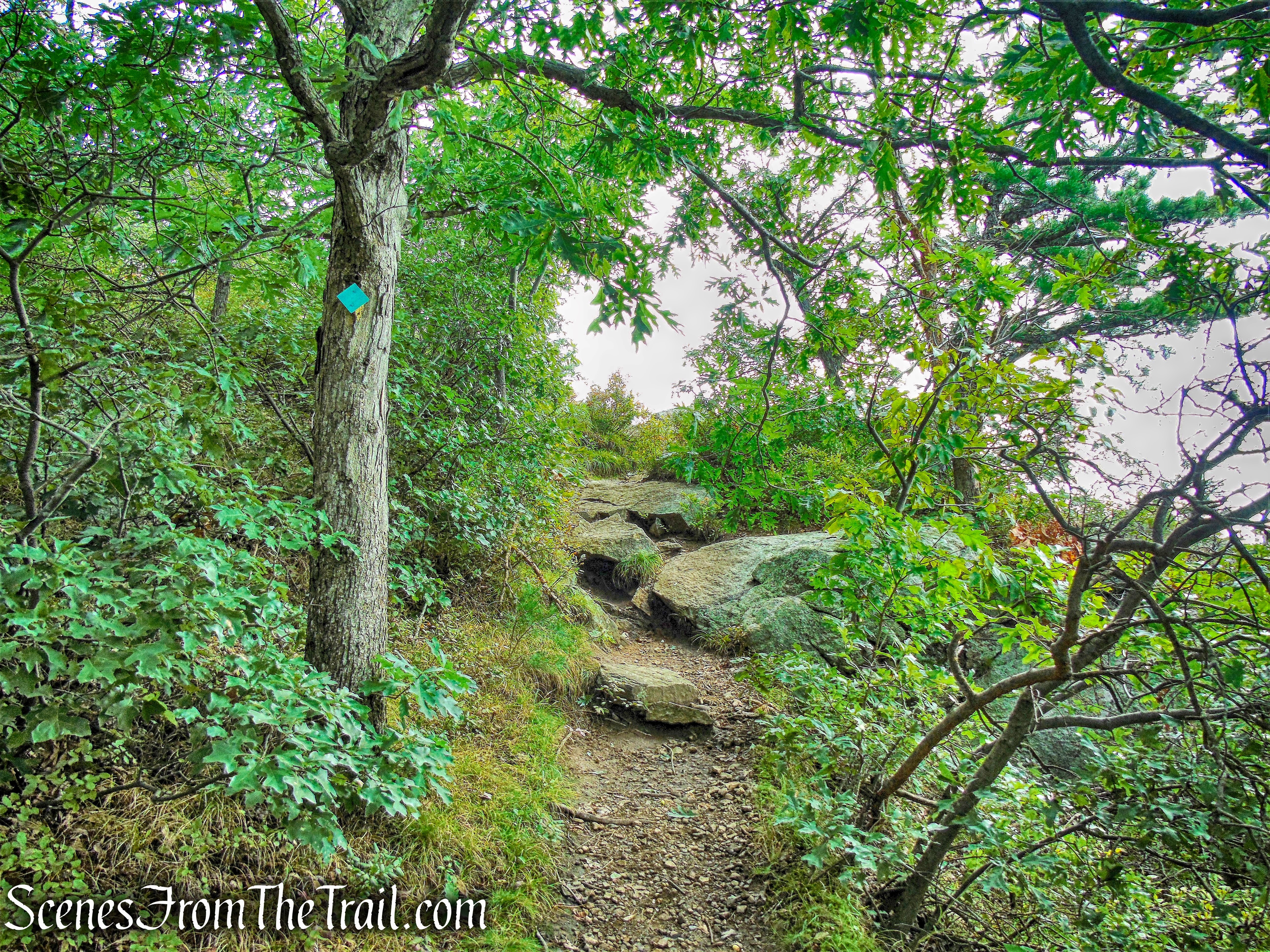 co-aligned Stillman/Highlands Trail