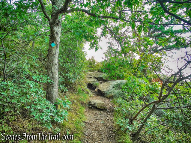 co-aligned Stillman/Highlands Trail