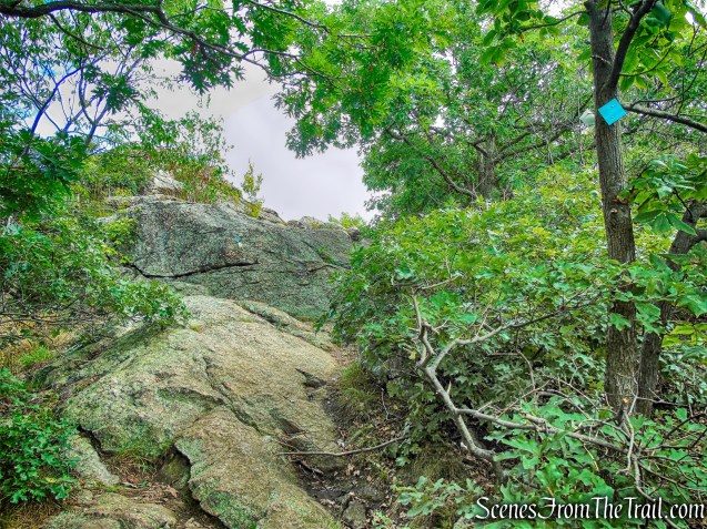 co-aligned Stillman/Highlands Trail