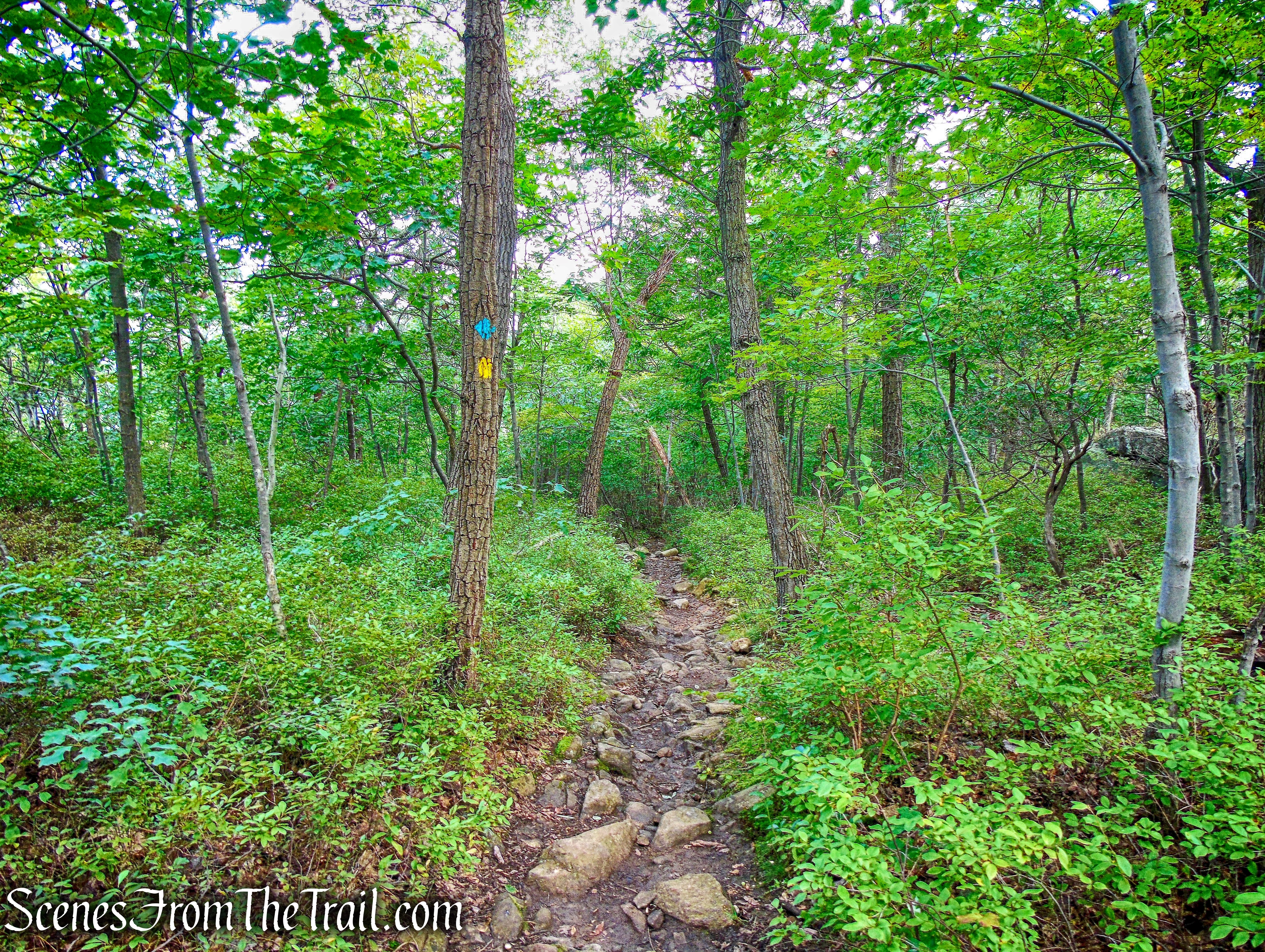 co-aligned Stillman/Highlands Trail