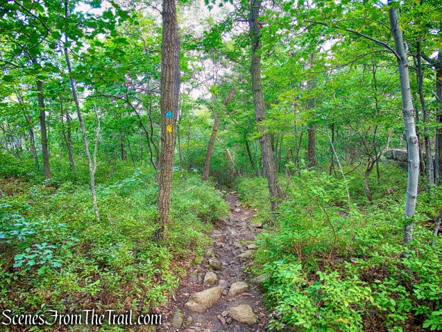 co-aligned Stillman/Highlands Trail