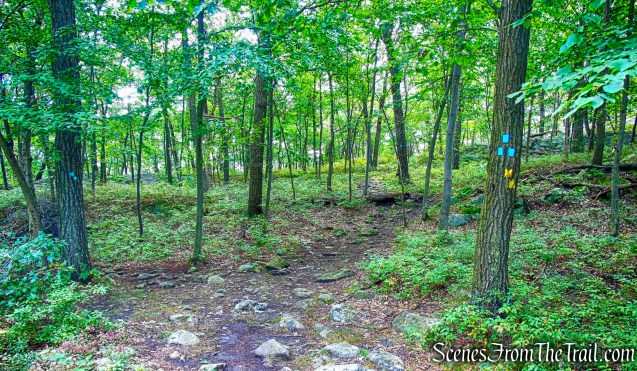 turn left on co-aligned Stillman/Highlands Trail