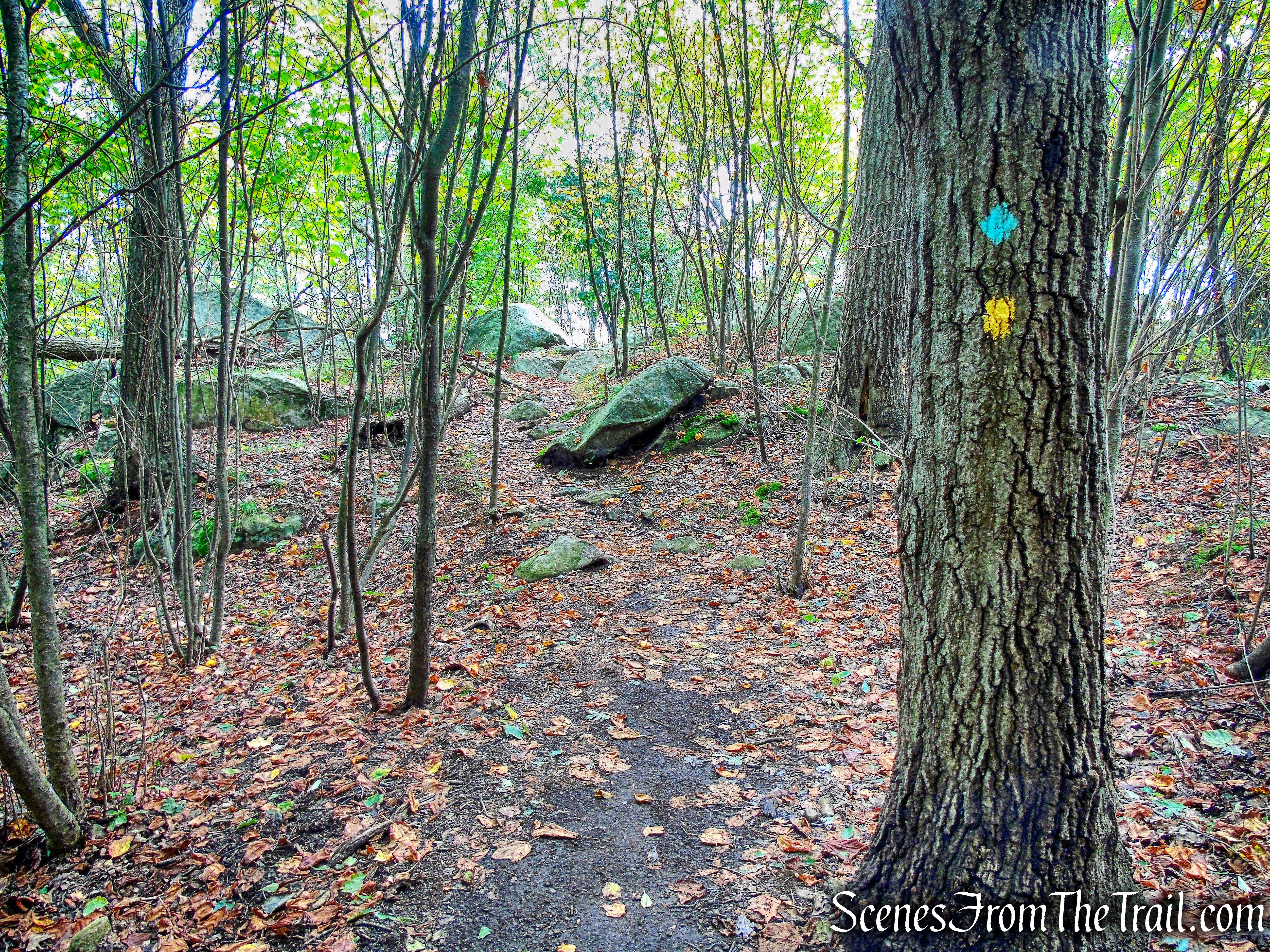 co-aligned Stillman/Highlands Trail